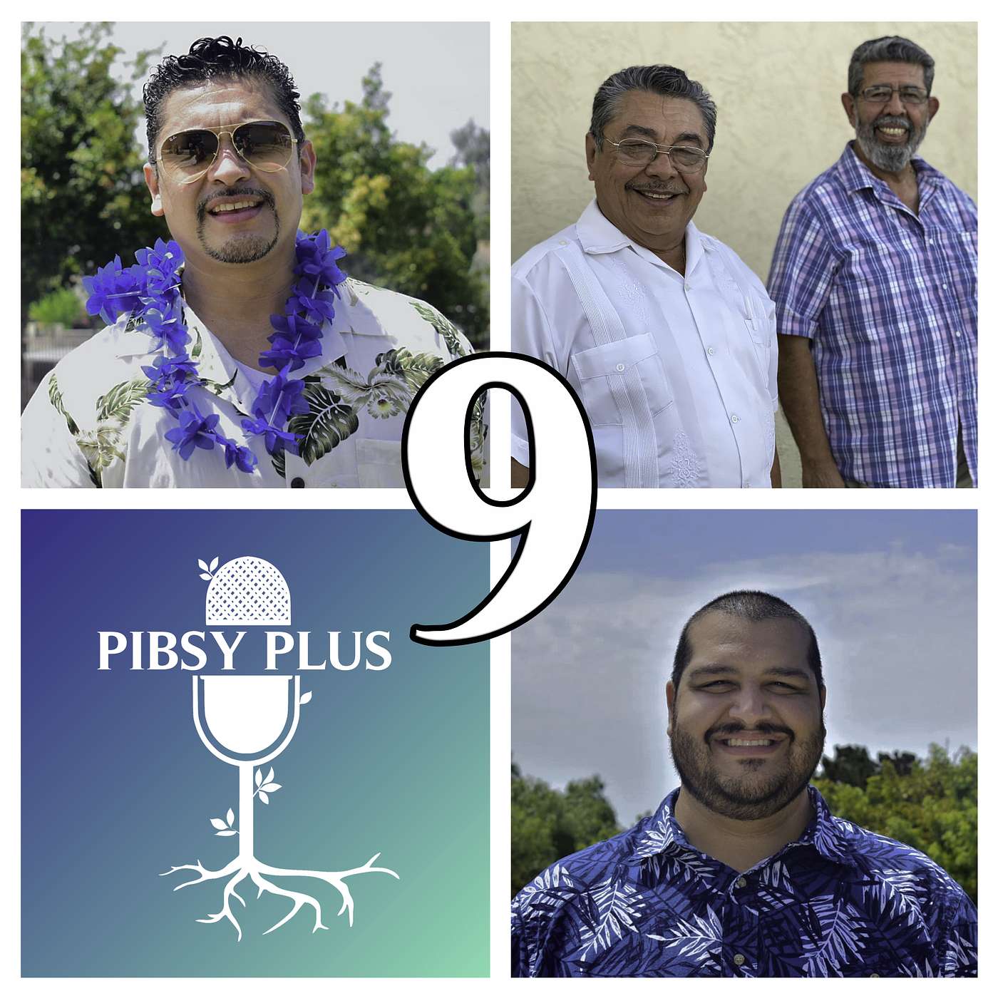 PIBSY Plus