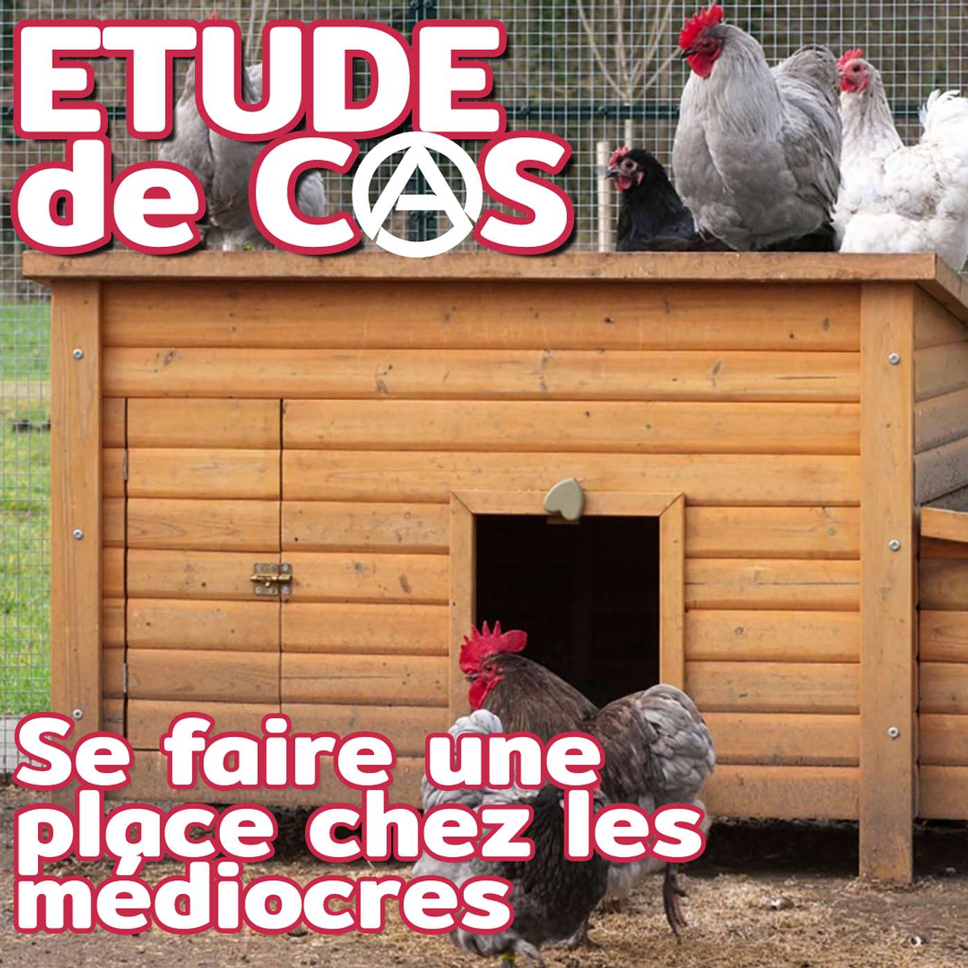 Stéphane Edouard • Études de cas