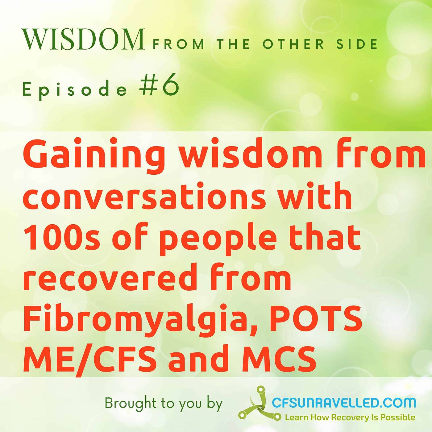 Wisdom From The Other Side Of Recovery from Fibromyalgia, ME, CFS, POTS & MCS