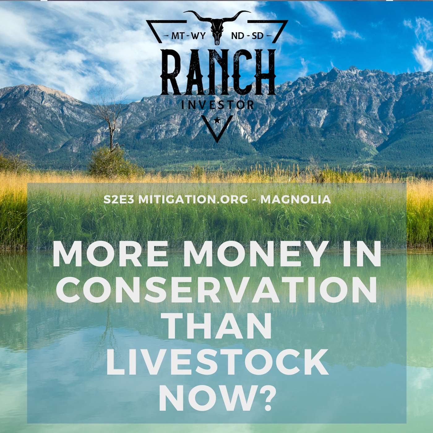 Episode 3 - Is There More Money In Conservation than Livestock Now? episode artwork
