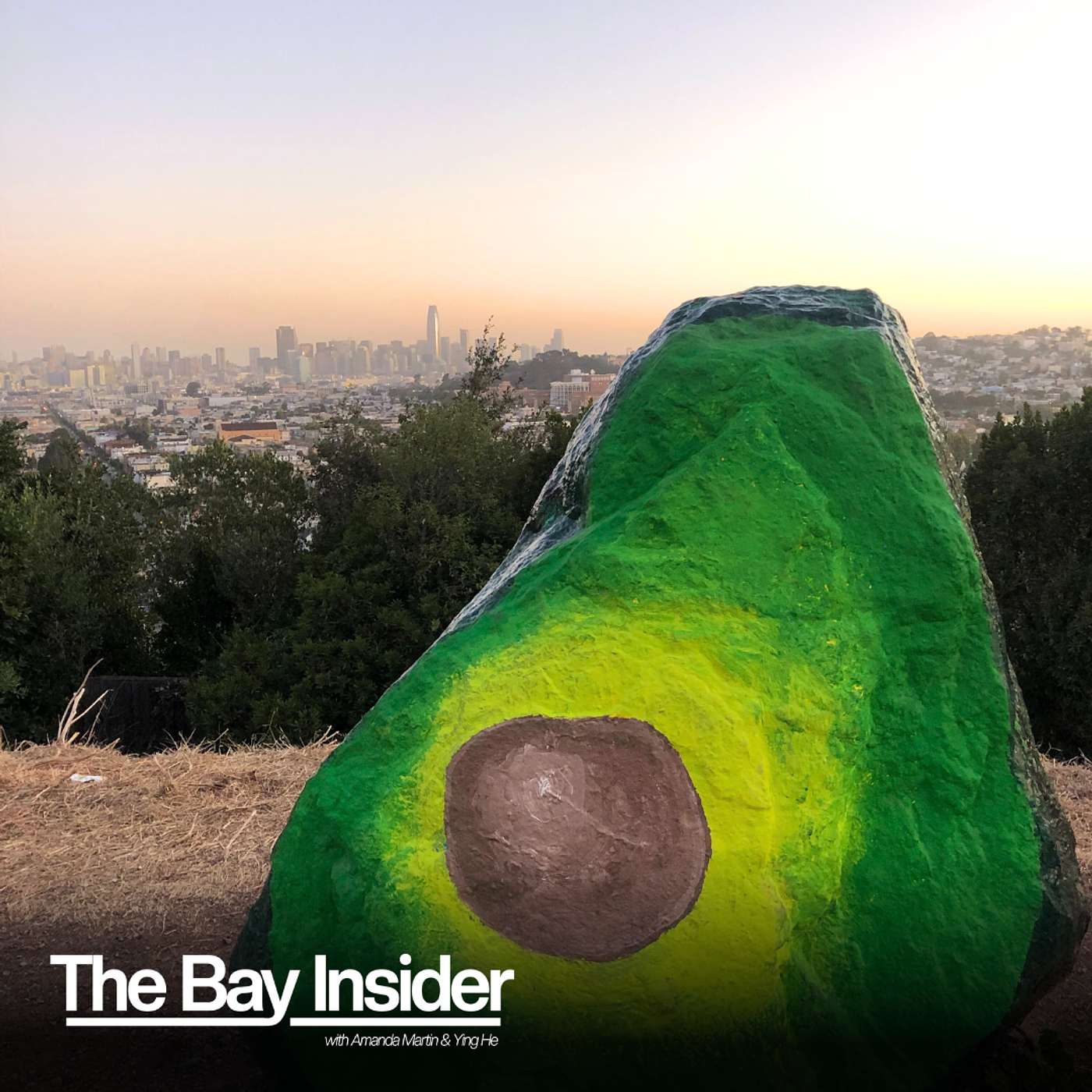 The Bay Insider
