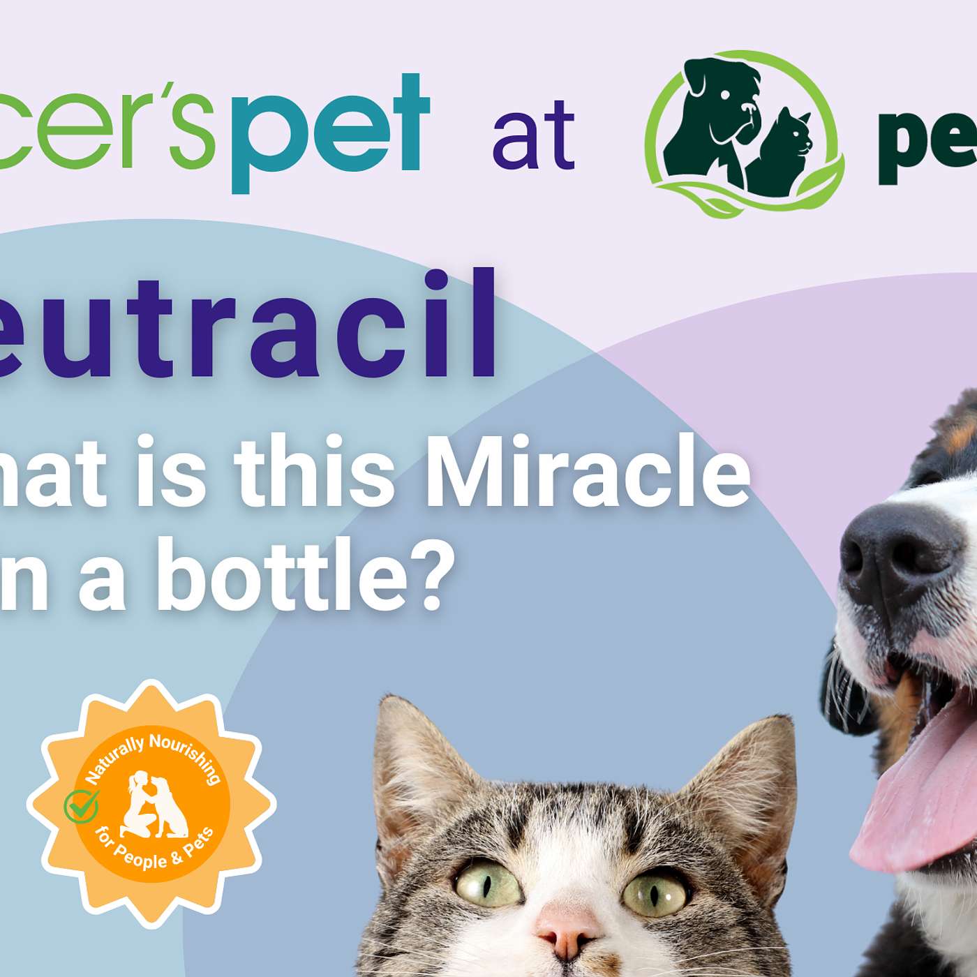 Quick tips with Jenn: Safe and natural antimicrobial for you and your pets! Quick tips with Jenn: Safe and natural antimicrobial for you and your pets!