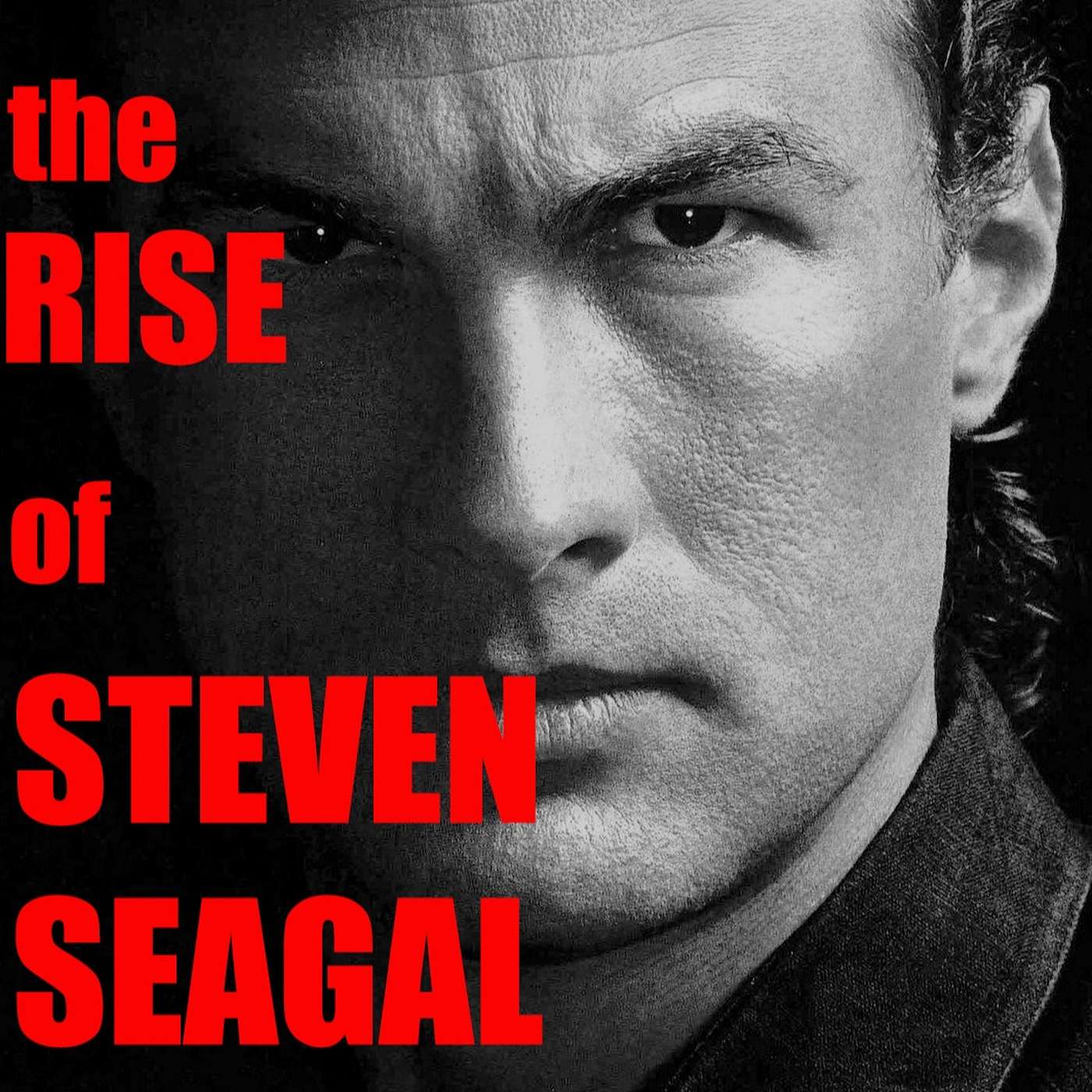 The Rise Of Steven Seagal