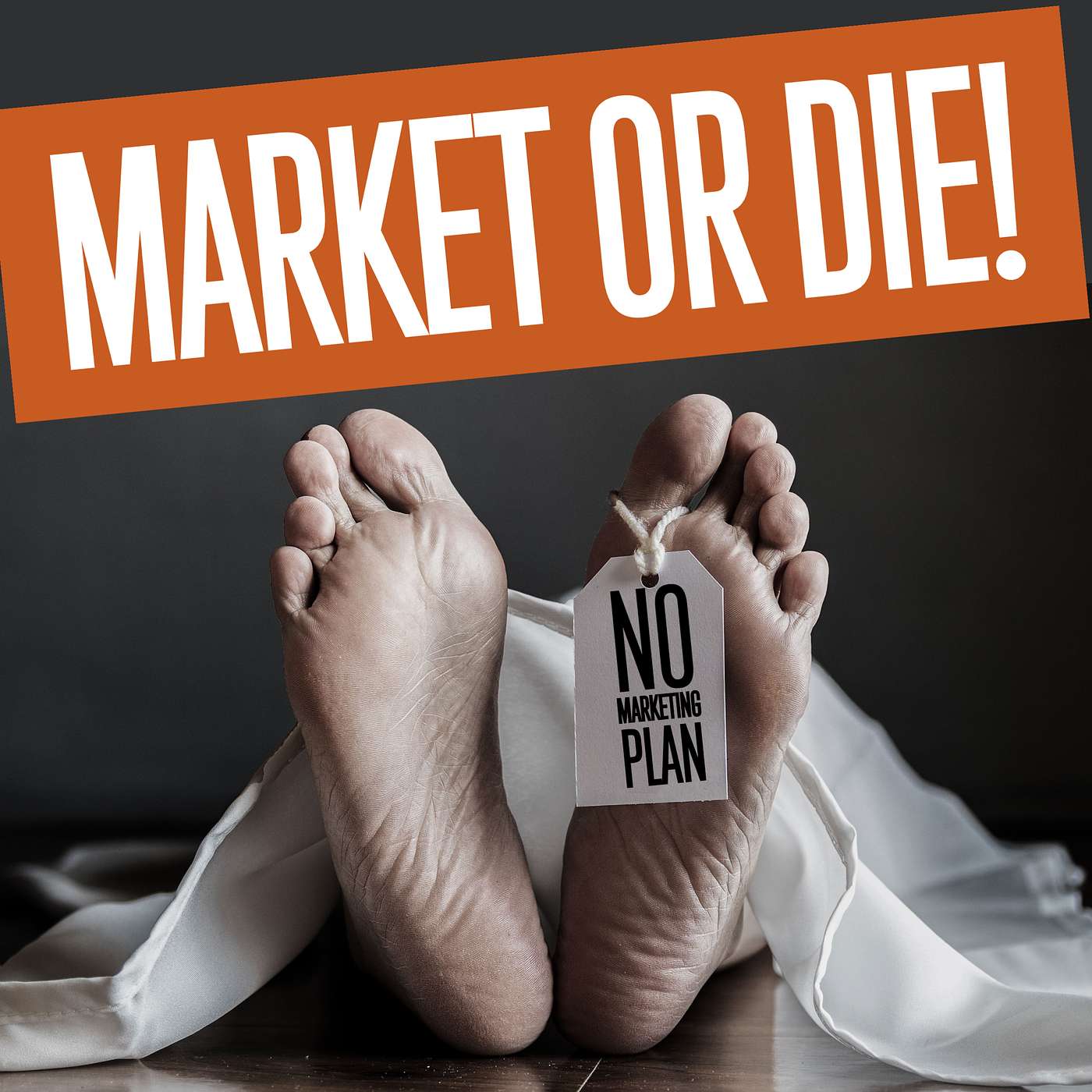 A Voice Over Marketing Plan Is CRITICAL to Your Voiceover Business episode artwork