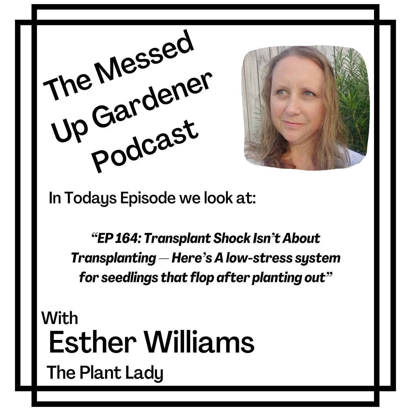 EP 164: Transplant Shock Isn’t About Transplanting — Here’s A low-stress system for seedlings that flop after planting out