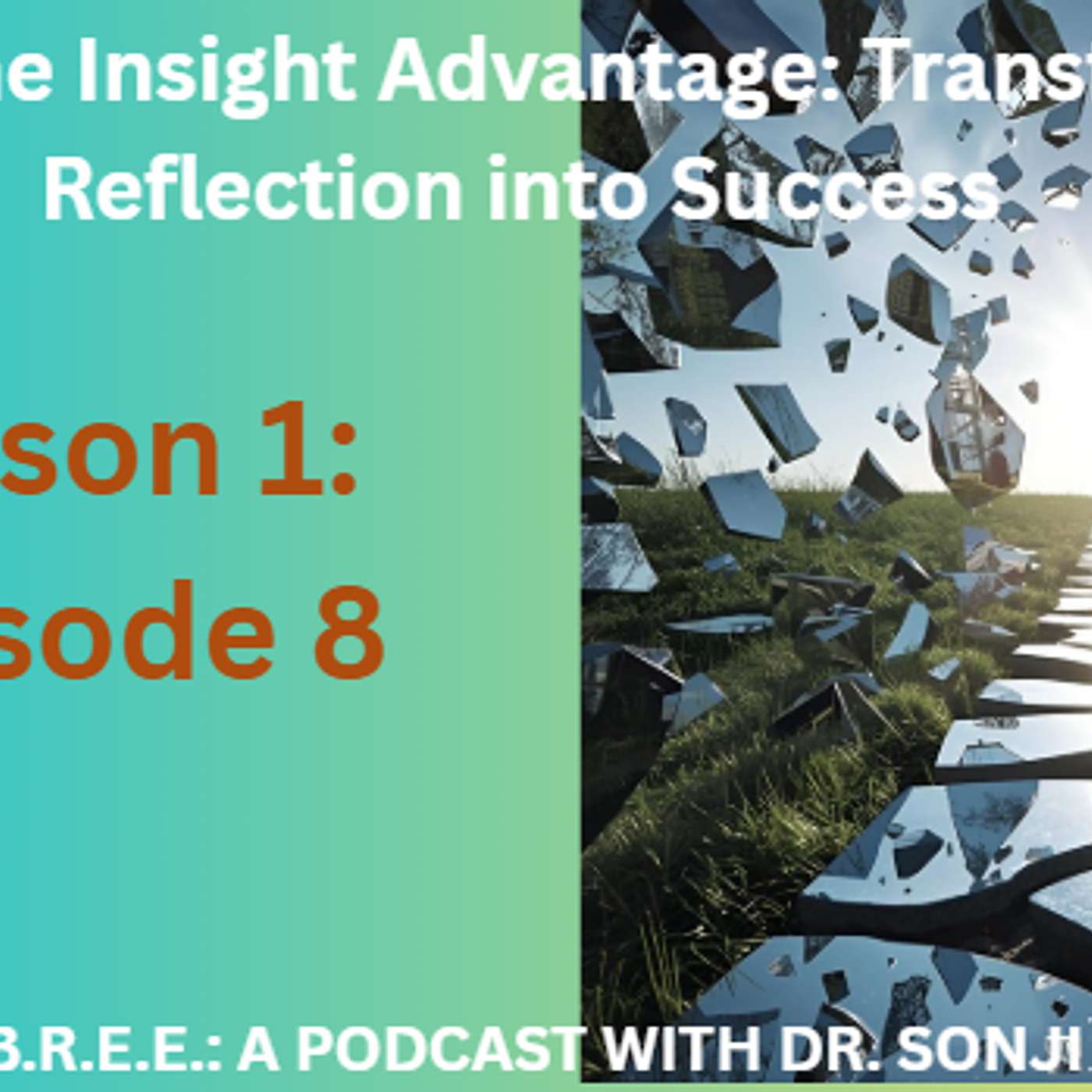 The Insight Advantage: Transforming Reflection into Success episode artwork