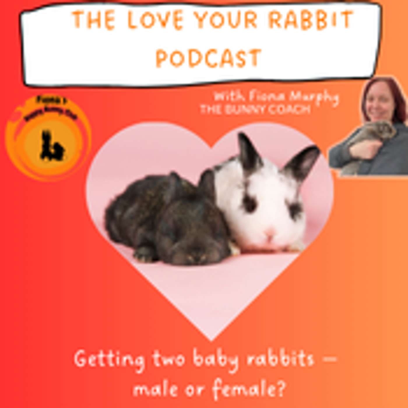 The Love Your Rabbit Podcast with Fiona Murphy, The Bunny Coach