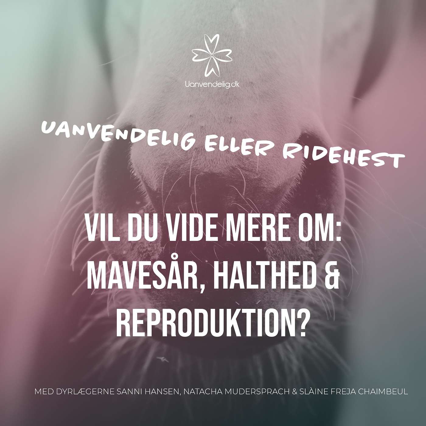 Vil du vide mere om mavesår, halthed og reproduktion?