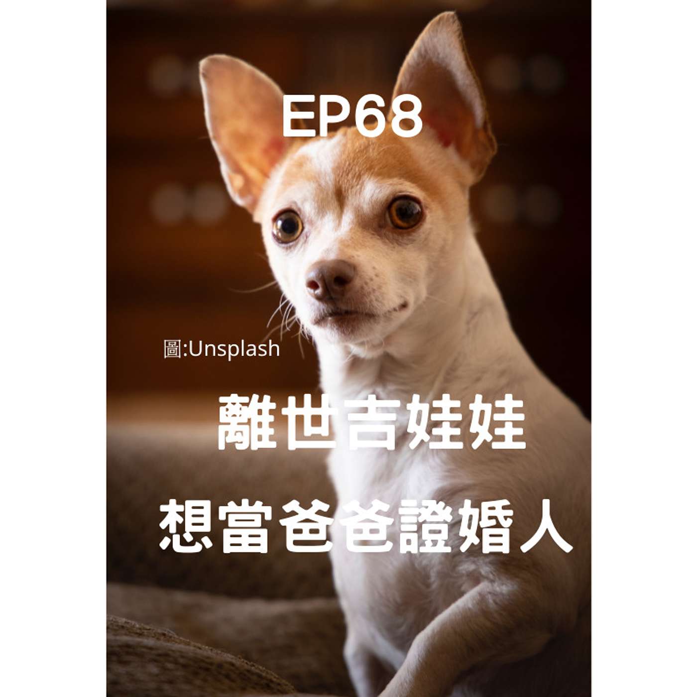 從0到1媒體人X斜槓 EP68 想要把爸爸託付給媽媽 離世吉娃娃”畫”成證婚人  (柚子貍&安妮動物園) episode artwork
