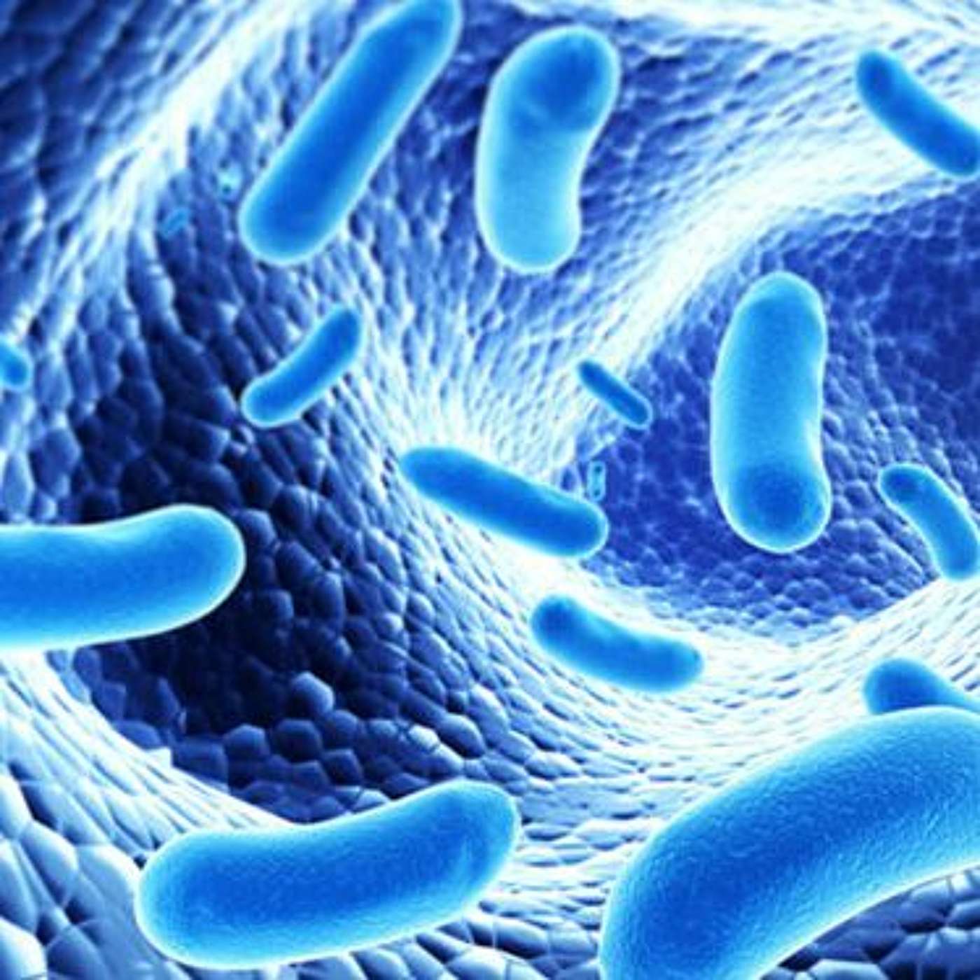 Understanding the Role of Diet on Medical Conditions and the Gut Microbiome episode artwork