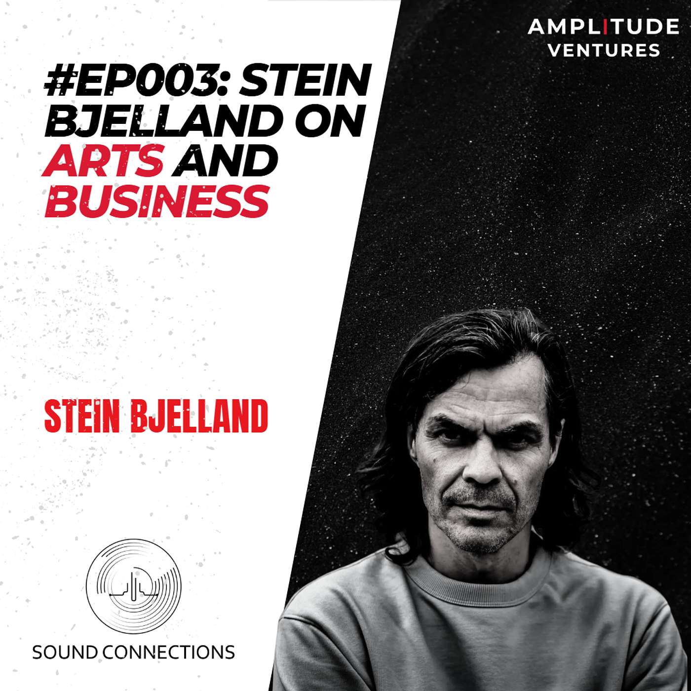 #003: EXPERT: Stein Bjelland: At the Crossroads of Arts and Business