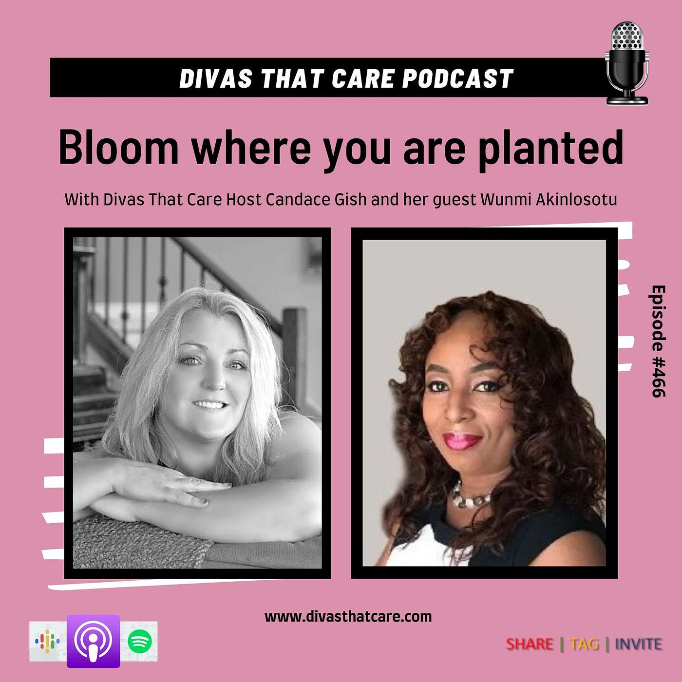 Bloom where you are planted episode artwork