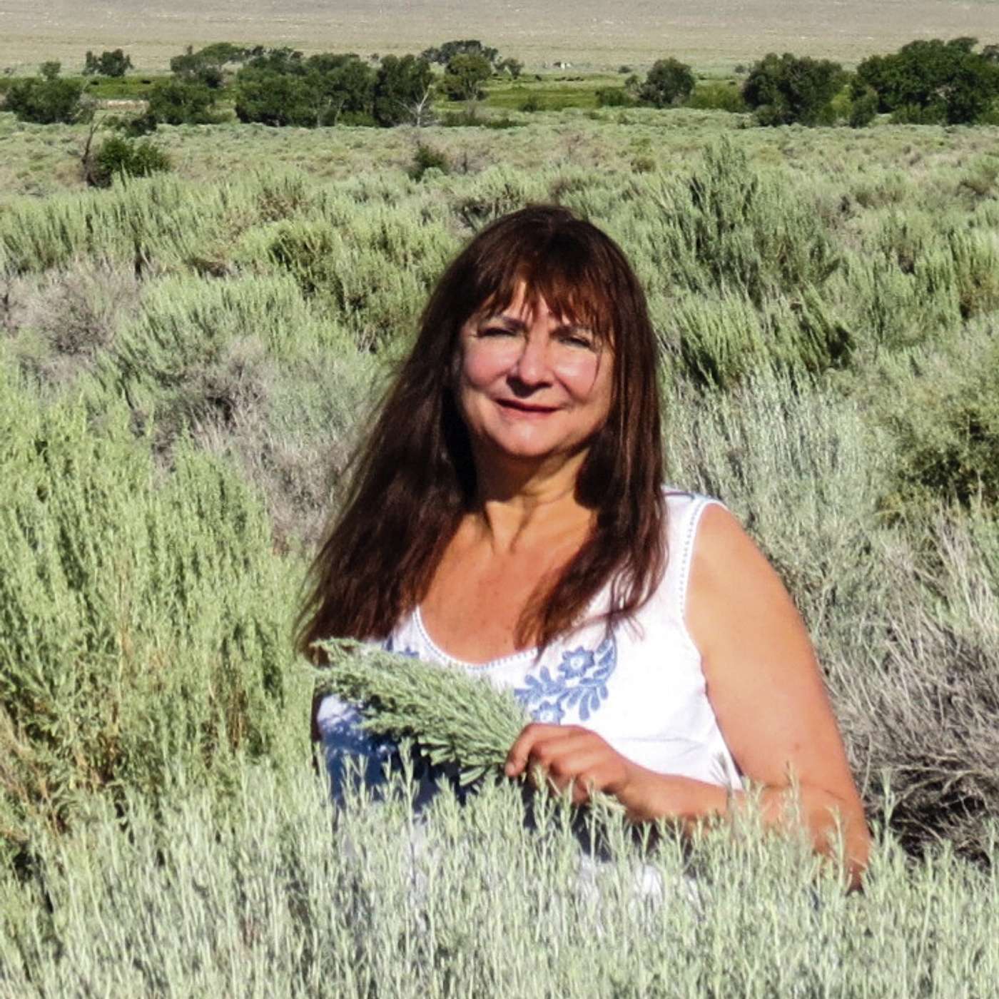 Awaken Your Inner Wisdom with Cissi Williams