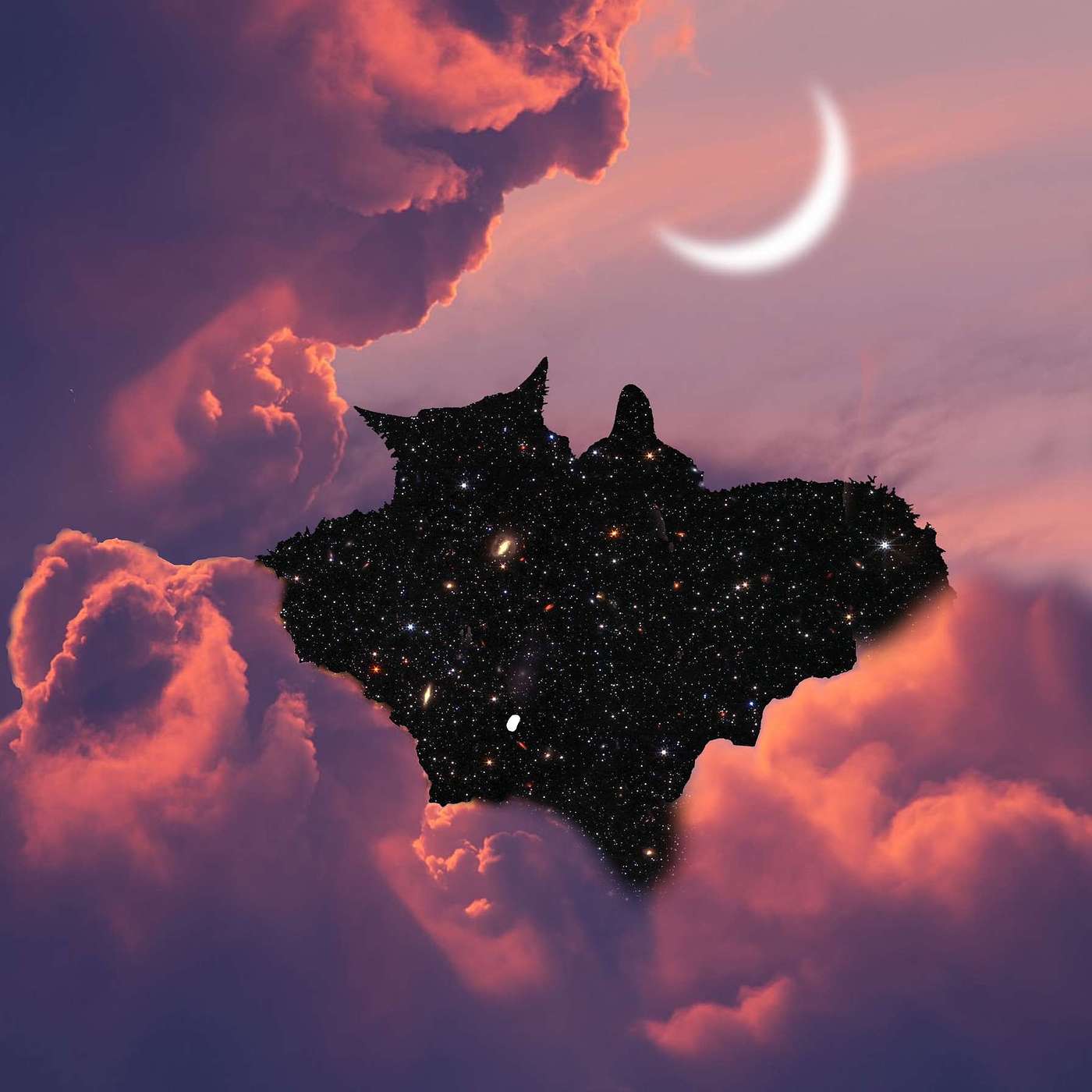 Cuddling with Consciousness cover art