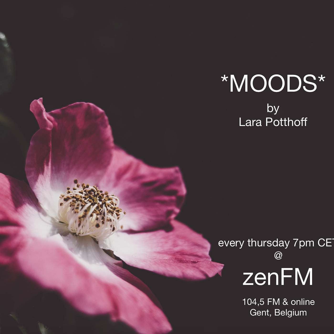 *MOODS* by Lara Potthoff @ zenFM 13.02.20