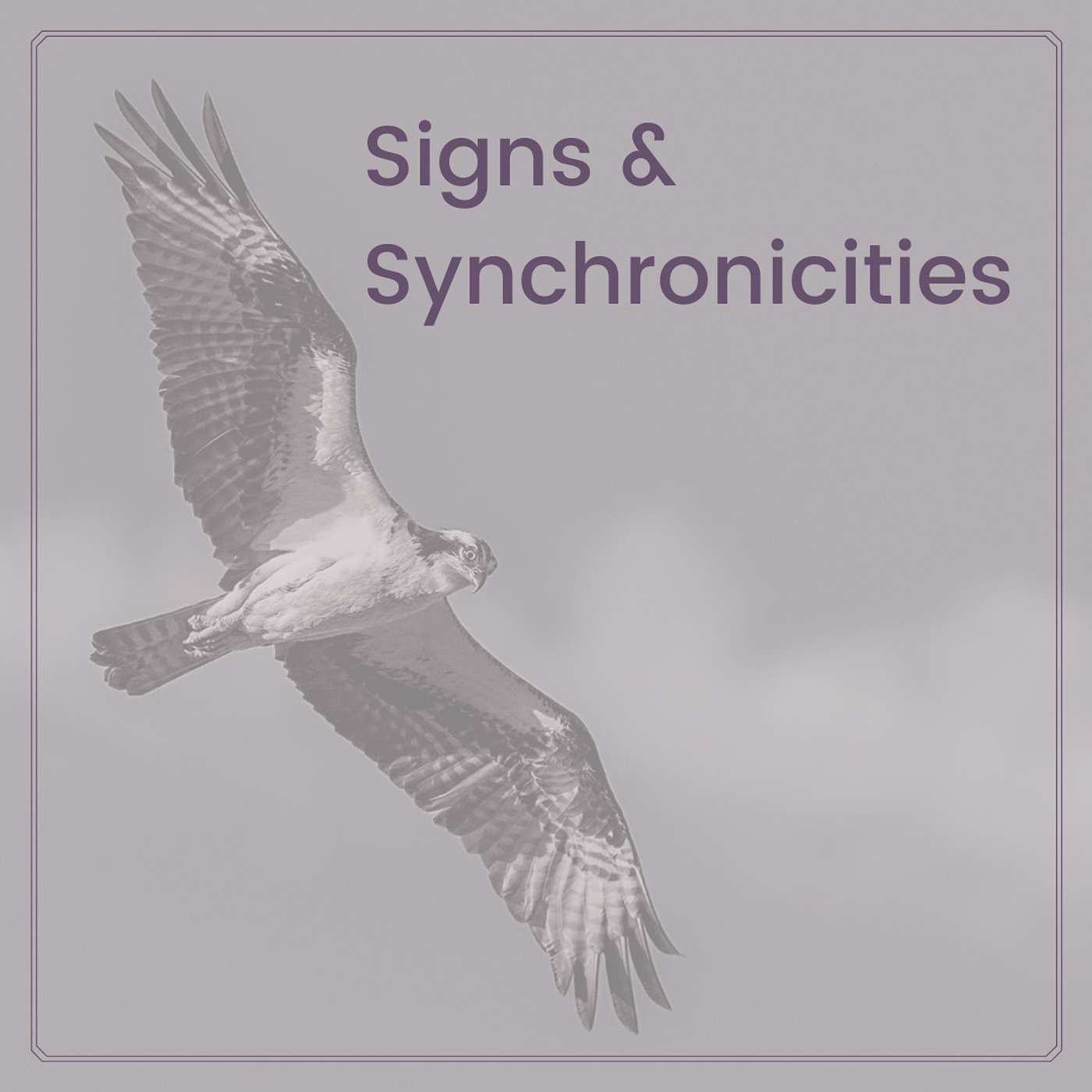 Signs & Synchronicities
