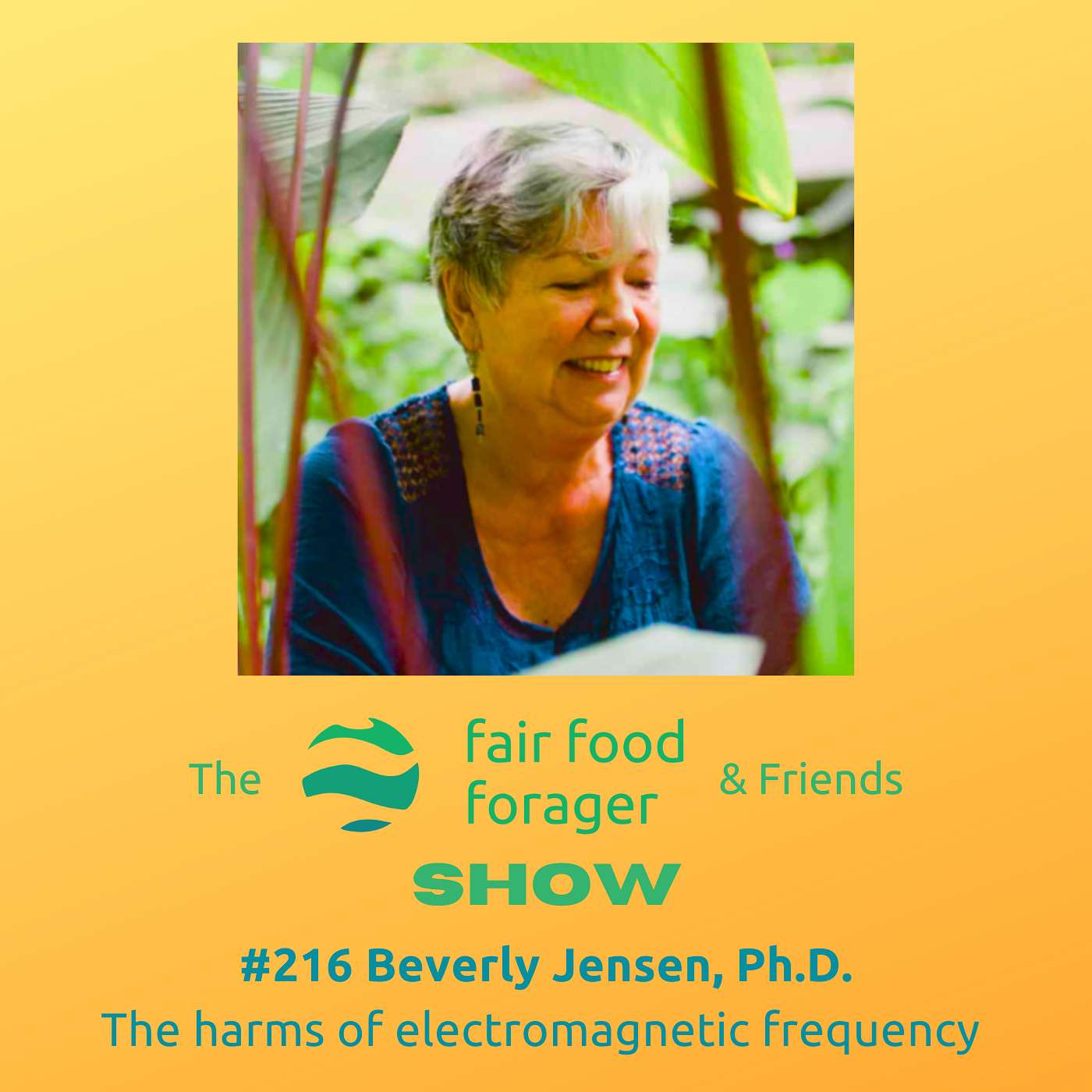 #216 Beverly Jensen, Ph.D. - Electromagnetic radiation, health impacts, silent industry & how to protect yourself #216 Beverly Jensen, Ph.D. - Electromagnetic radiation, health impacts, silent industry & how to protect yourself