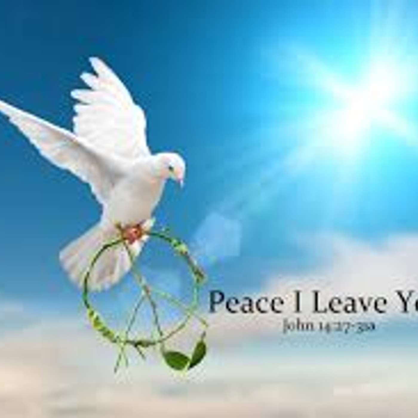 Homily for the Sixth Sunday of Easter - Let the Holy Spirit Come! Homily for the Sixth Sunday of Easter - Let the Holy Spirit Come!