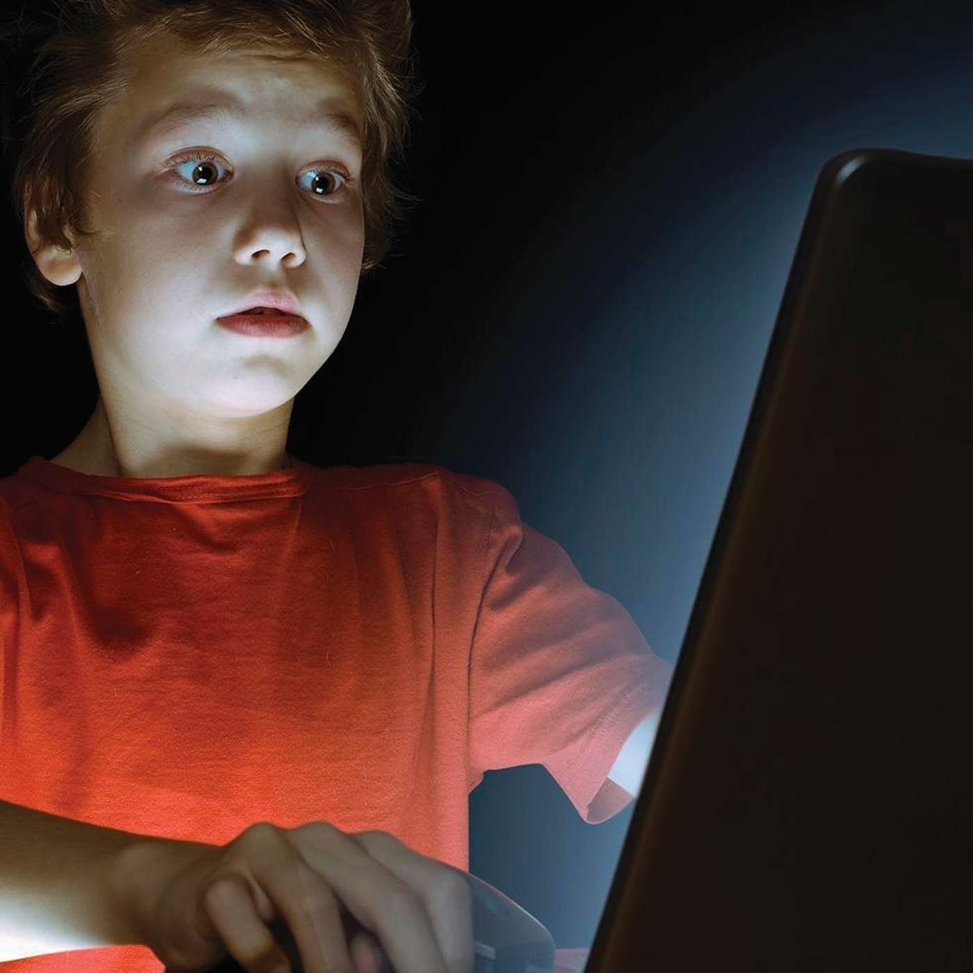 Protect Idaho Children from Pornography