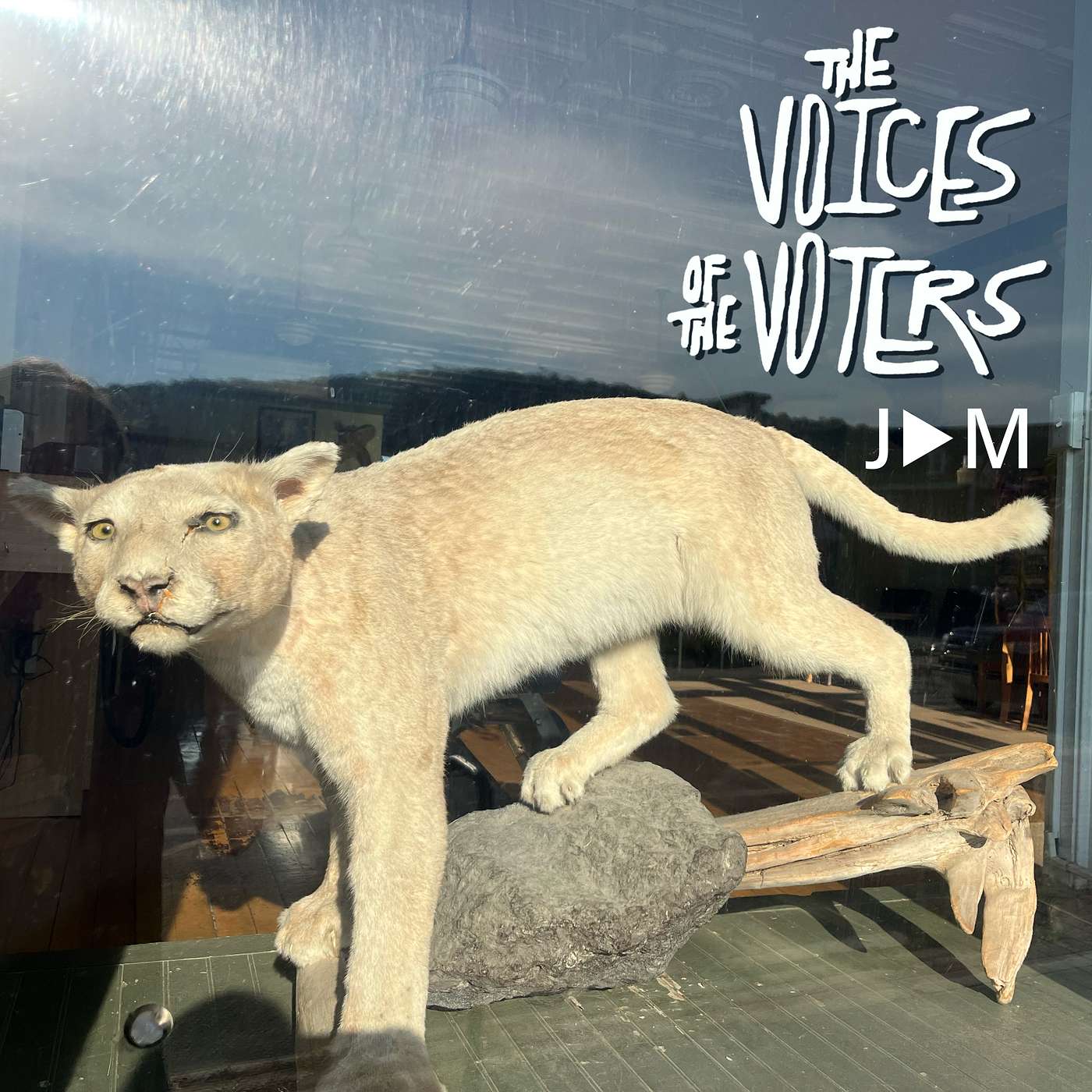 The Voices of the Voters S1 E1: A Great-Grandmother, and Seven People at a Skatepark episode artwork