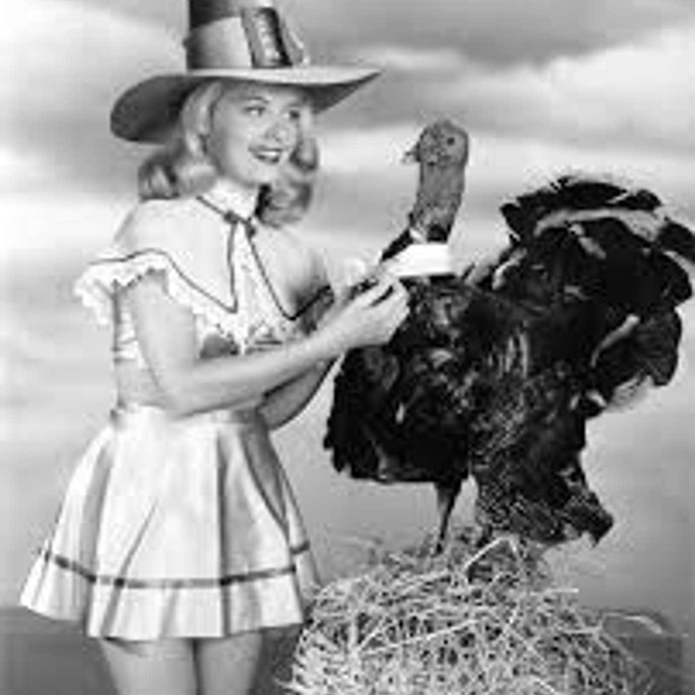 The Old Radio Companion