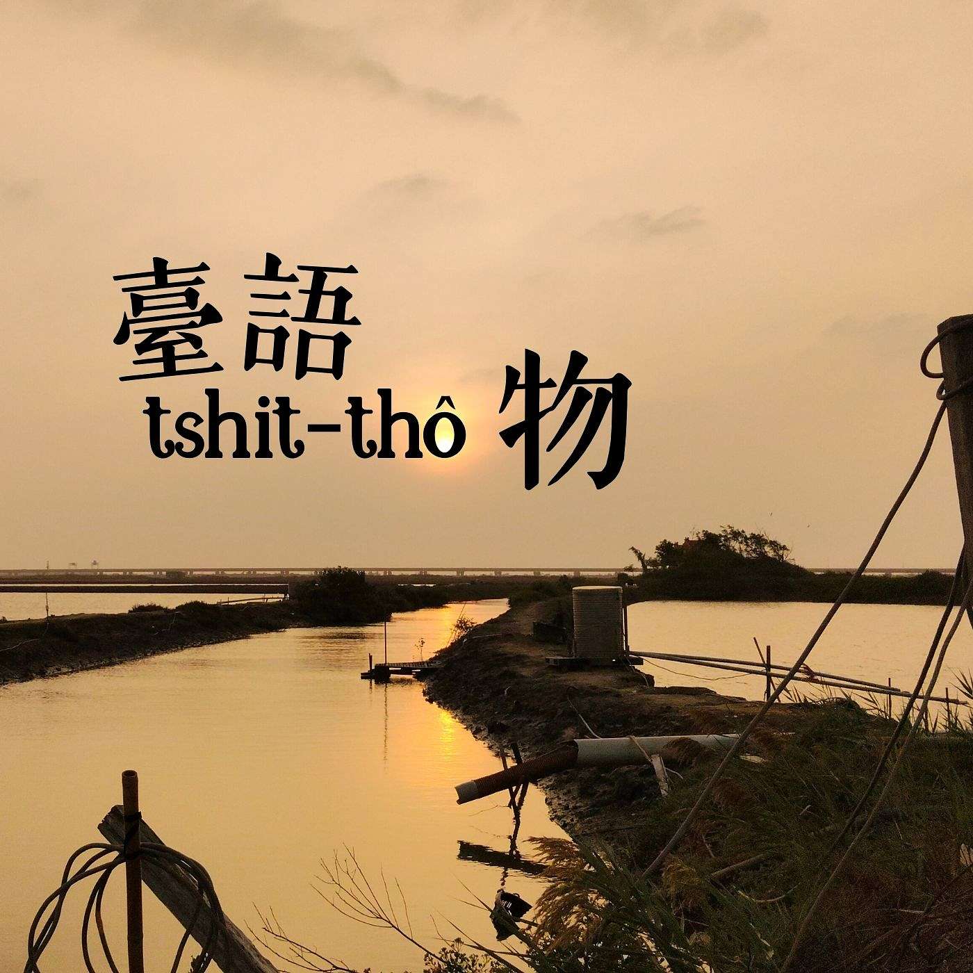 EP10 時事罔喋詳 | 由張亞中「說國語」事件解構臺灣本土語言的被欺凌史 EP10 時事罔喋詳 | 由張亞中「說國語」事件解構臺灣本土語言的被欺凌史