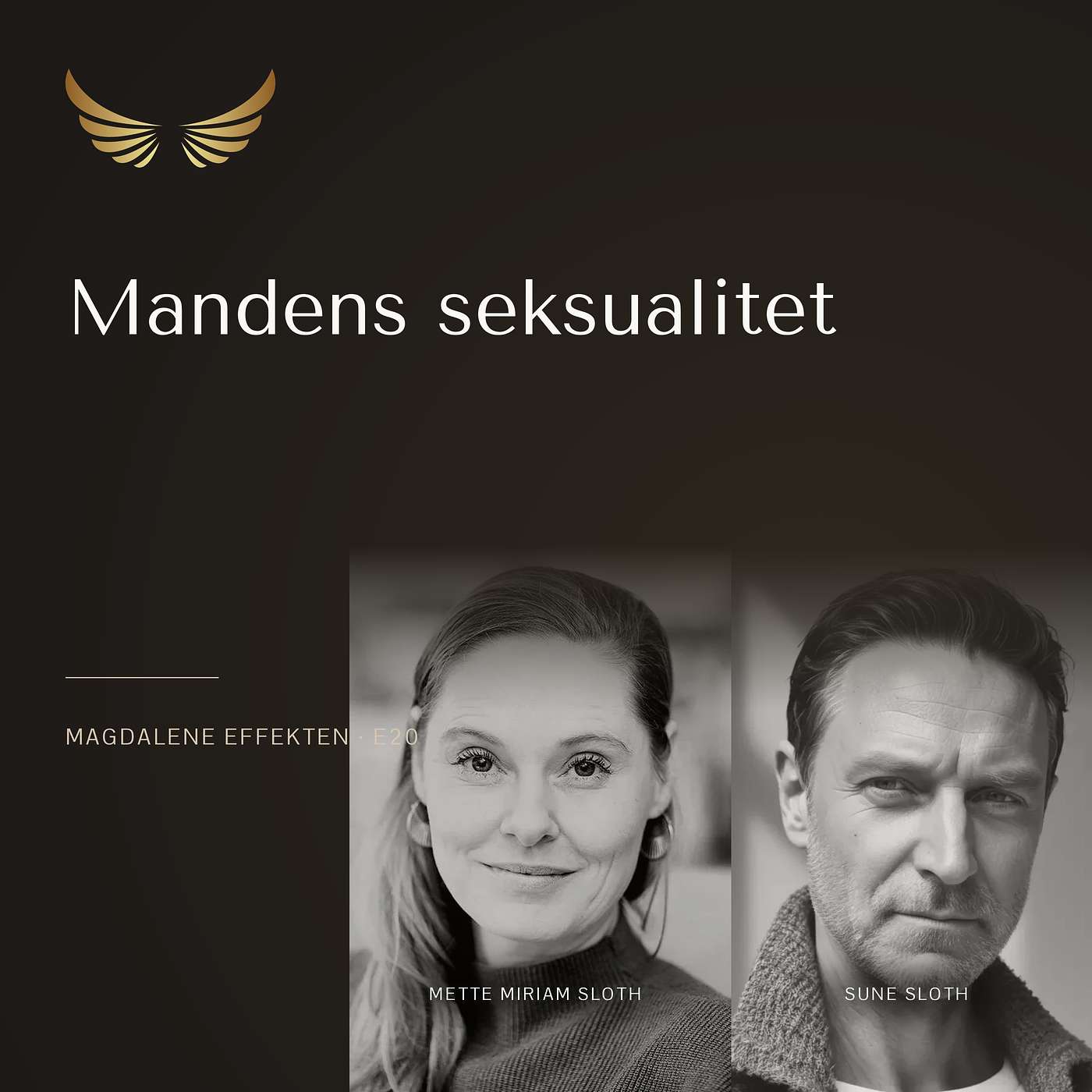 E20: Mandens seksualitet episode artwork