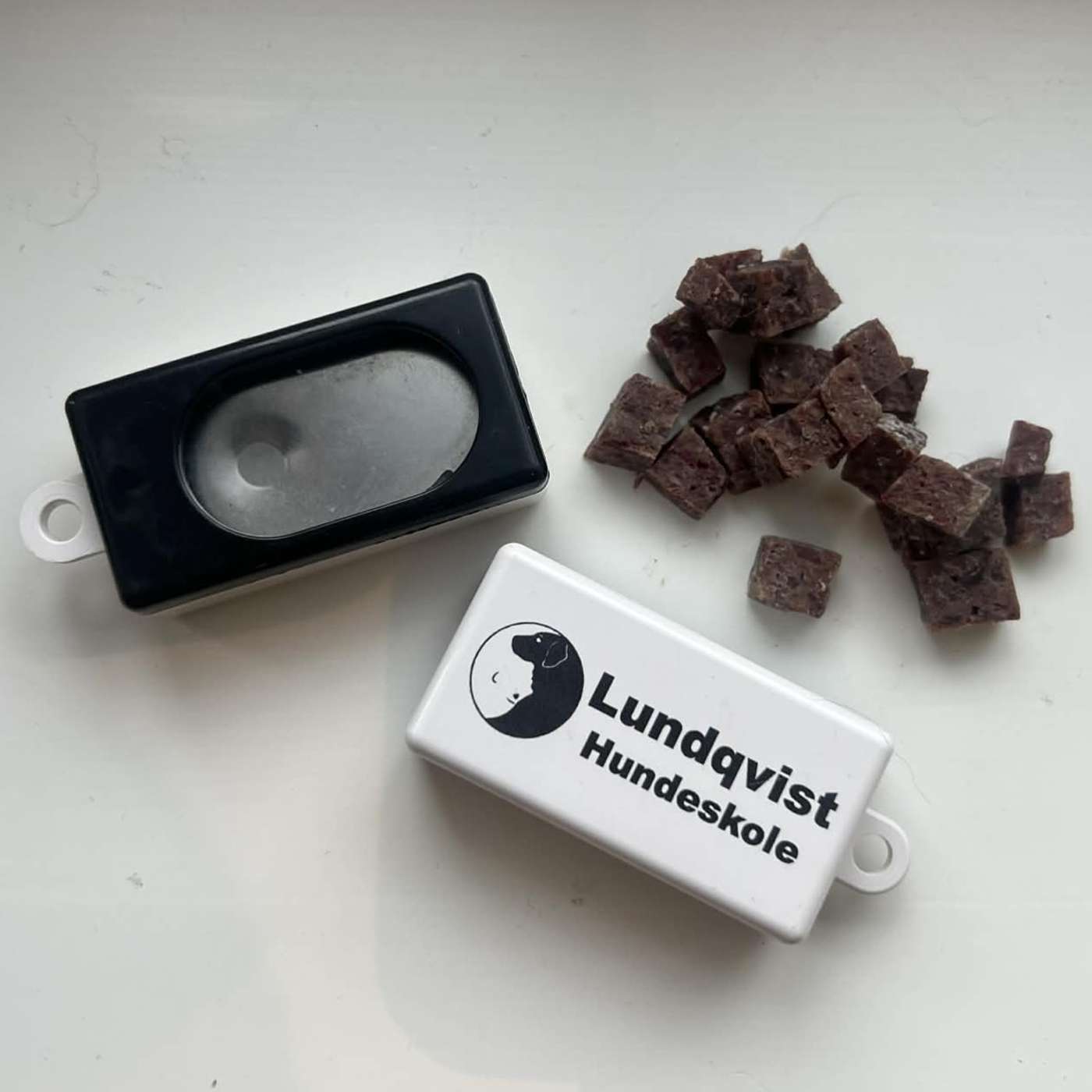 39 - Er det egentlig noe poeng å lære hunden inn på en klikker?