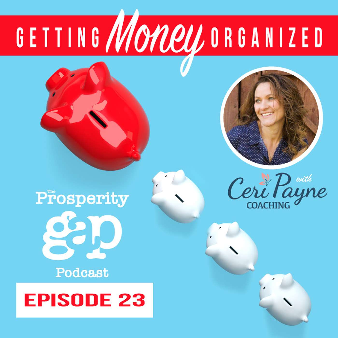 The Prosperity Gap Podcast