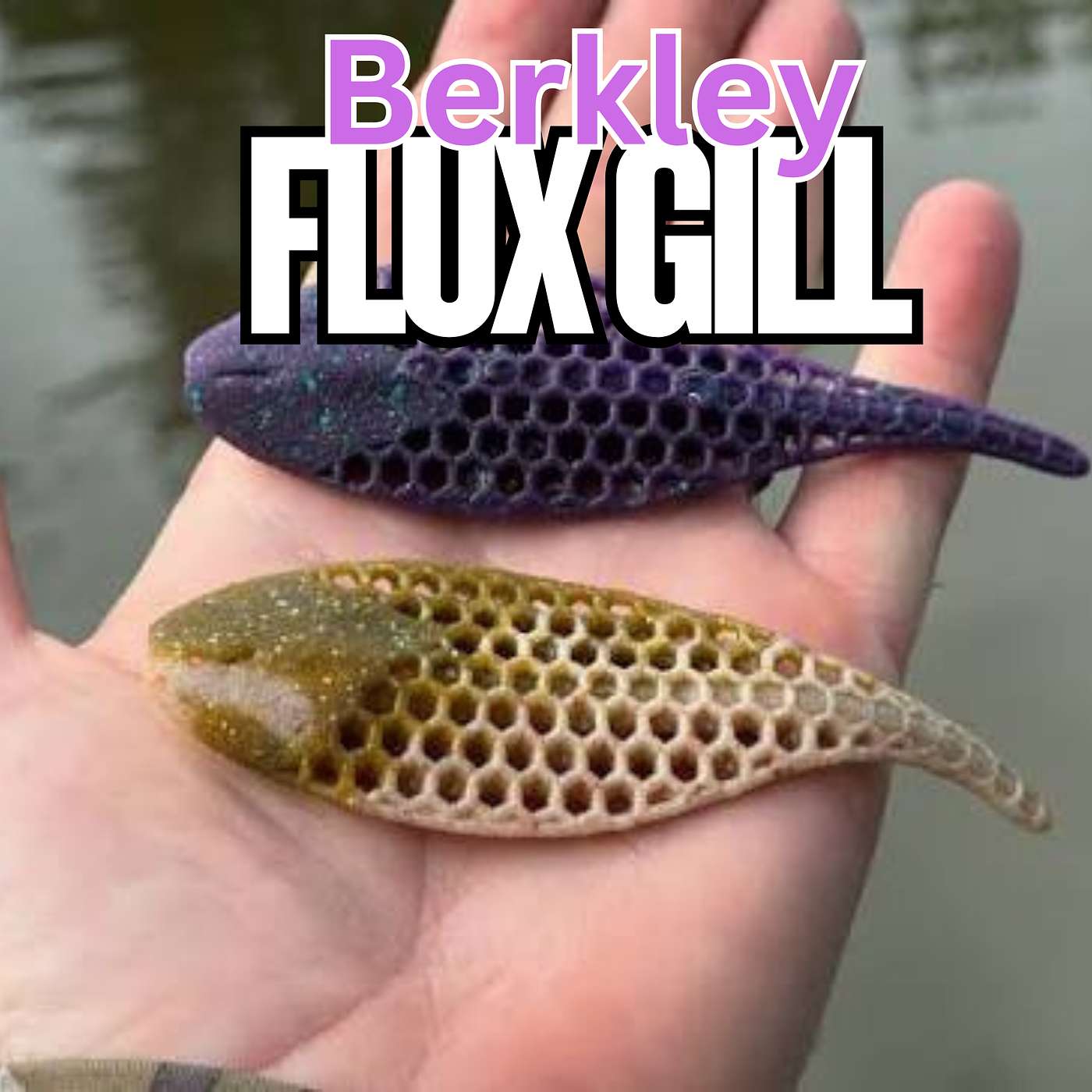 Is this Unique Bait the New Rave in Bass Fishing?