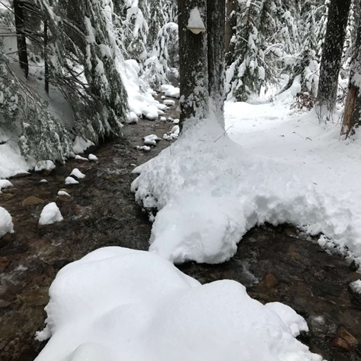 Dave Johnson's Ski Adventure | AVINI Health Thought Leader