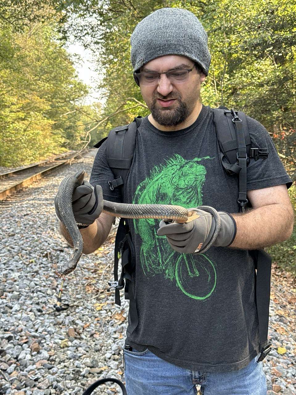 Zeev Nitzan Ginsburg