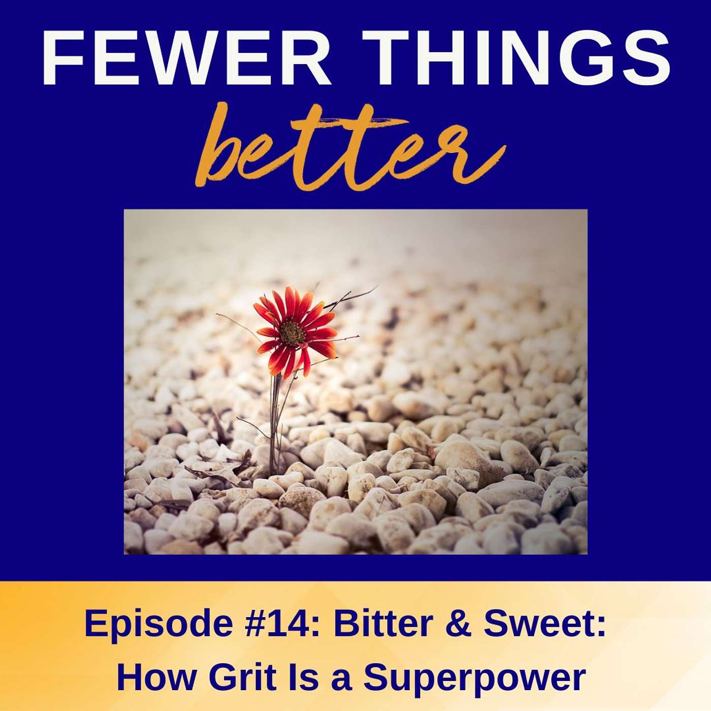 Ep. 14 - Using Bitter & Sweet: How Grit Is a Superpower