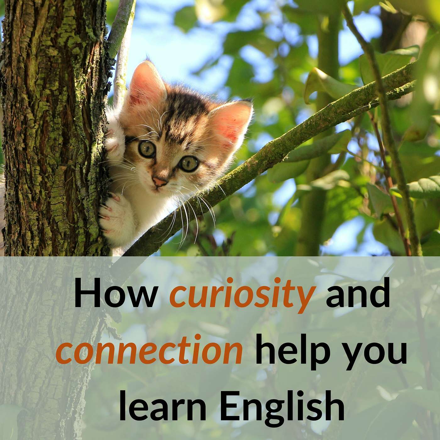 Smart English Coach