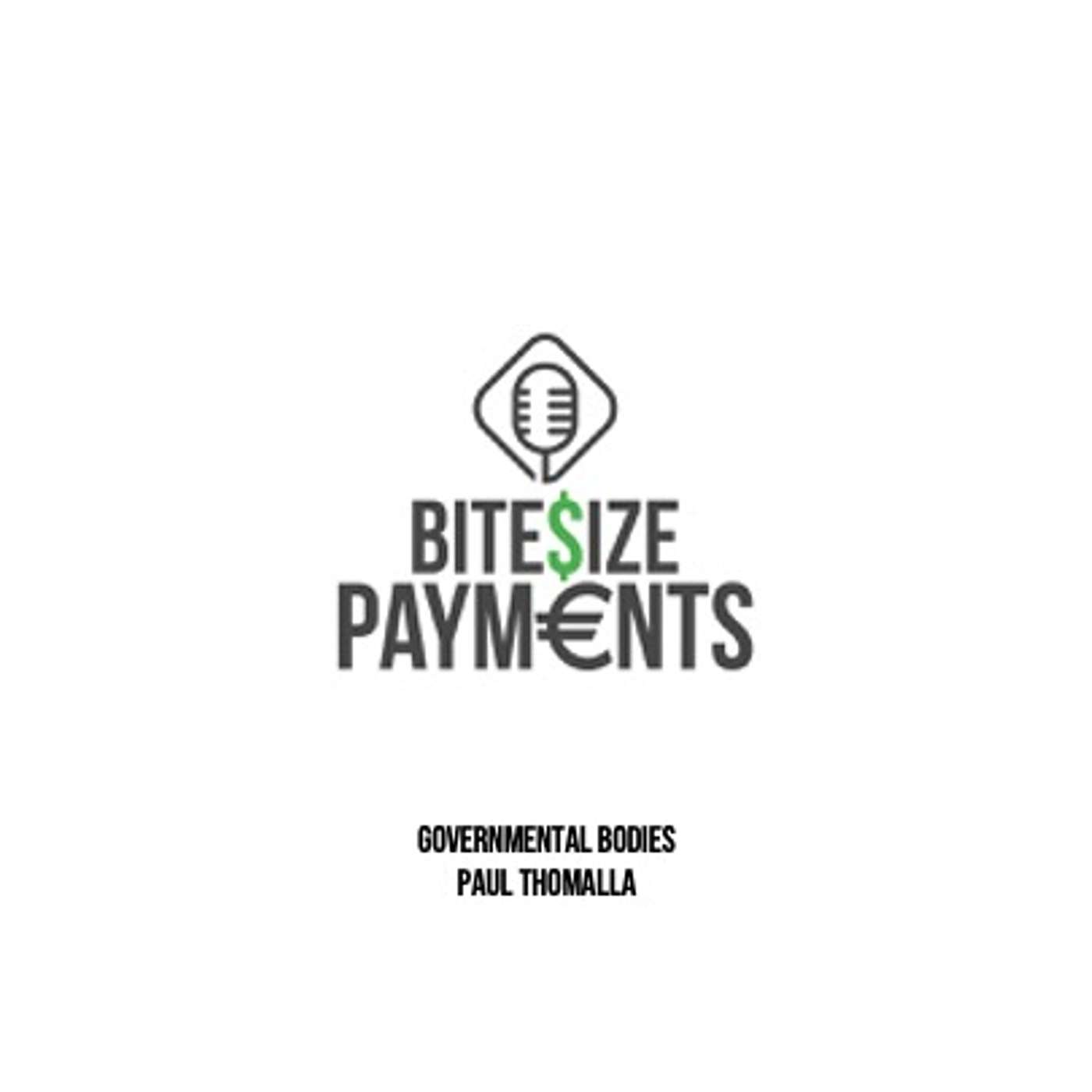 Governmental Bodies - The Treasury, Central Banks, and payment operators.