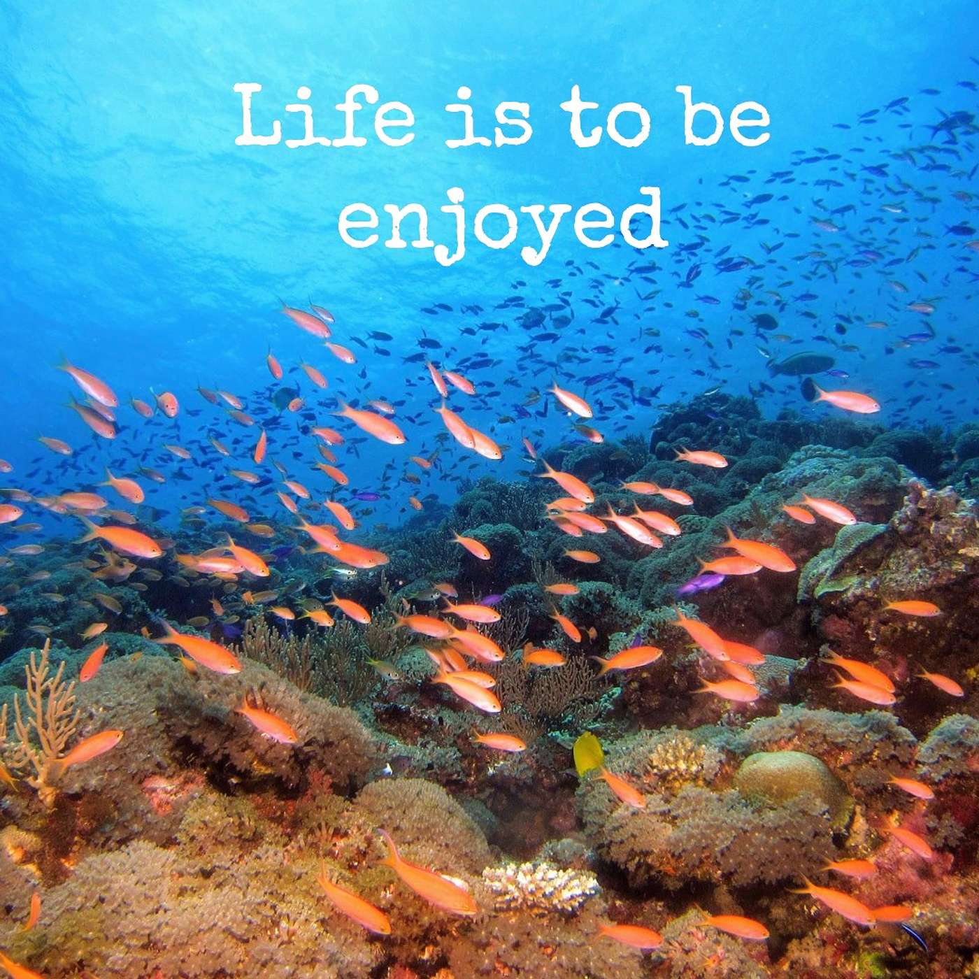 #188 Life is to be enjoyed episode artwork