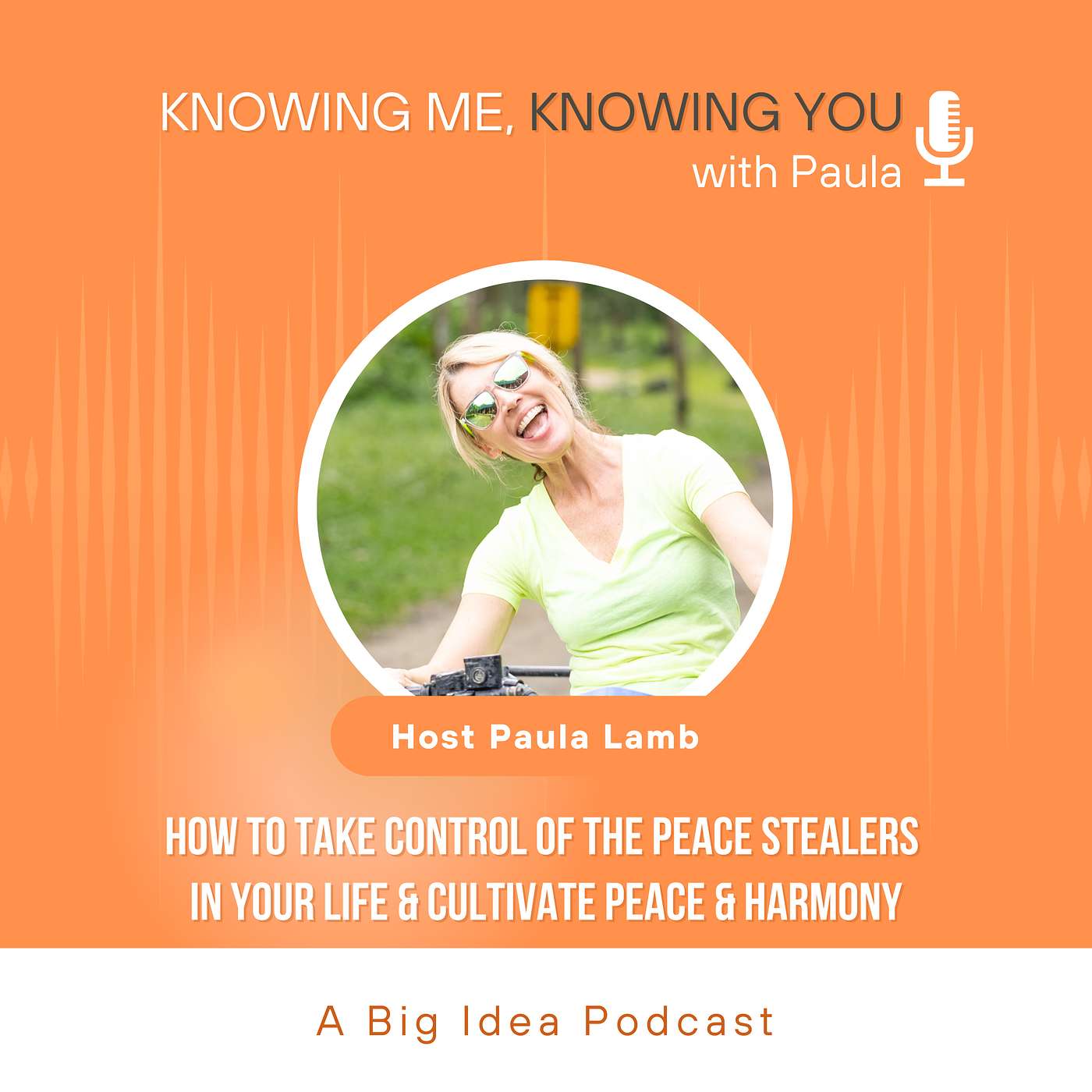 54. How to Take Control of The Peace Stealers in Your Life & Cultivate Peace & Harmony w/Paula Lamb