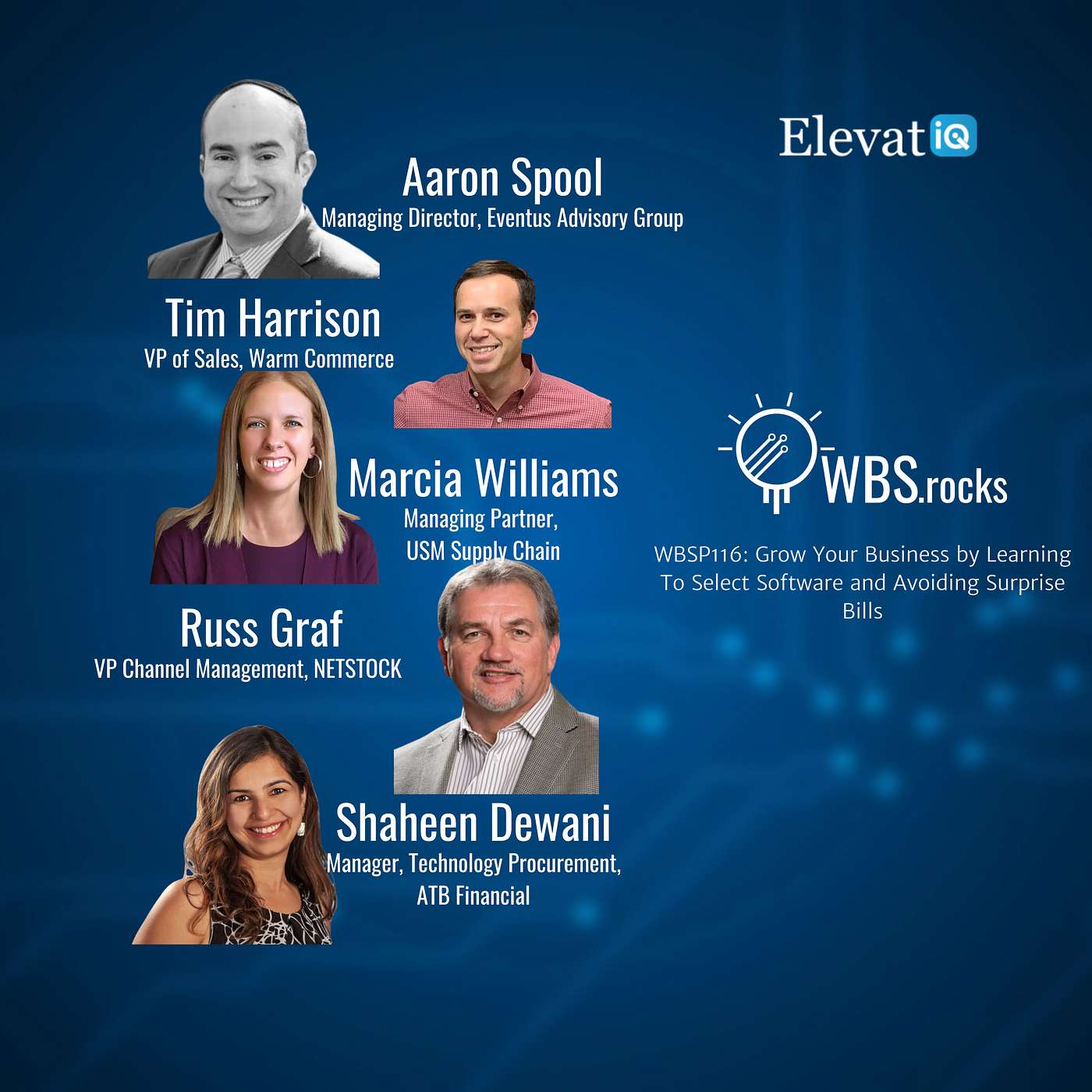WBSP116: Grow Your Business by Learning To Select Software and Avoiding Surprise Bills w/ a Panel of Experts