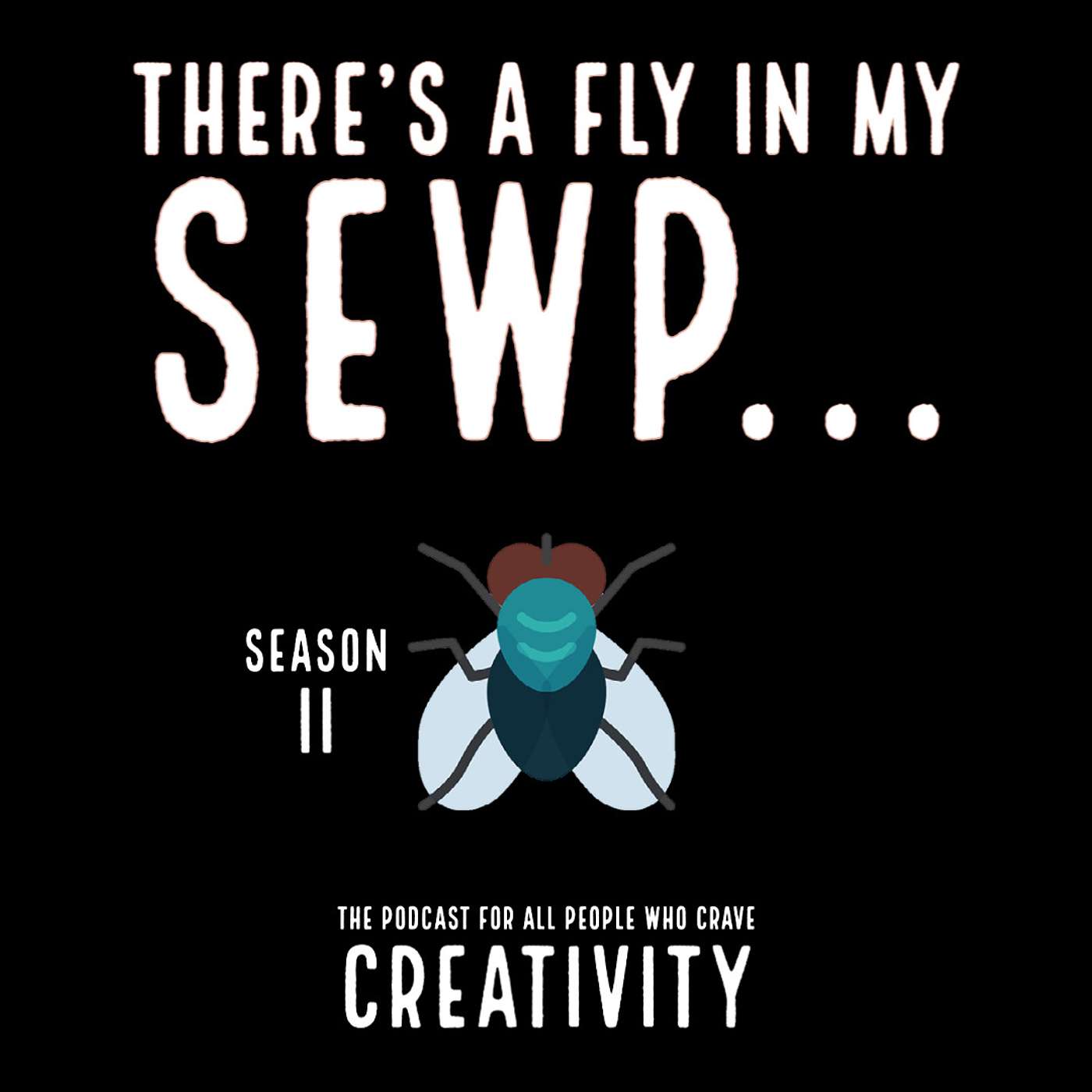 There\'s a Fly In My SEWP...