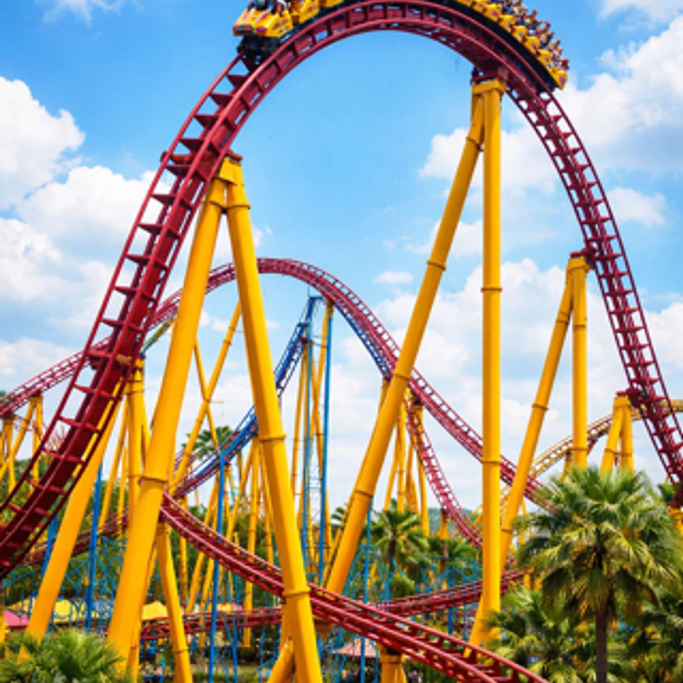 Rehab Roller Coaster