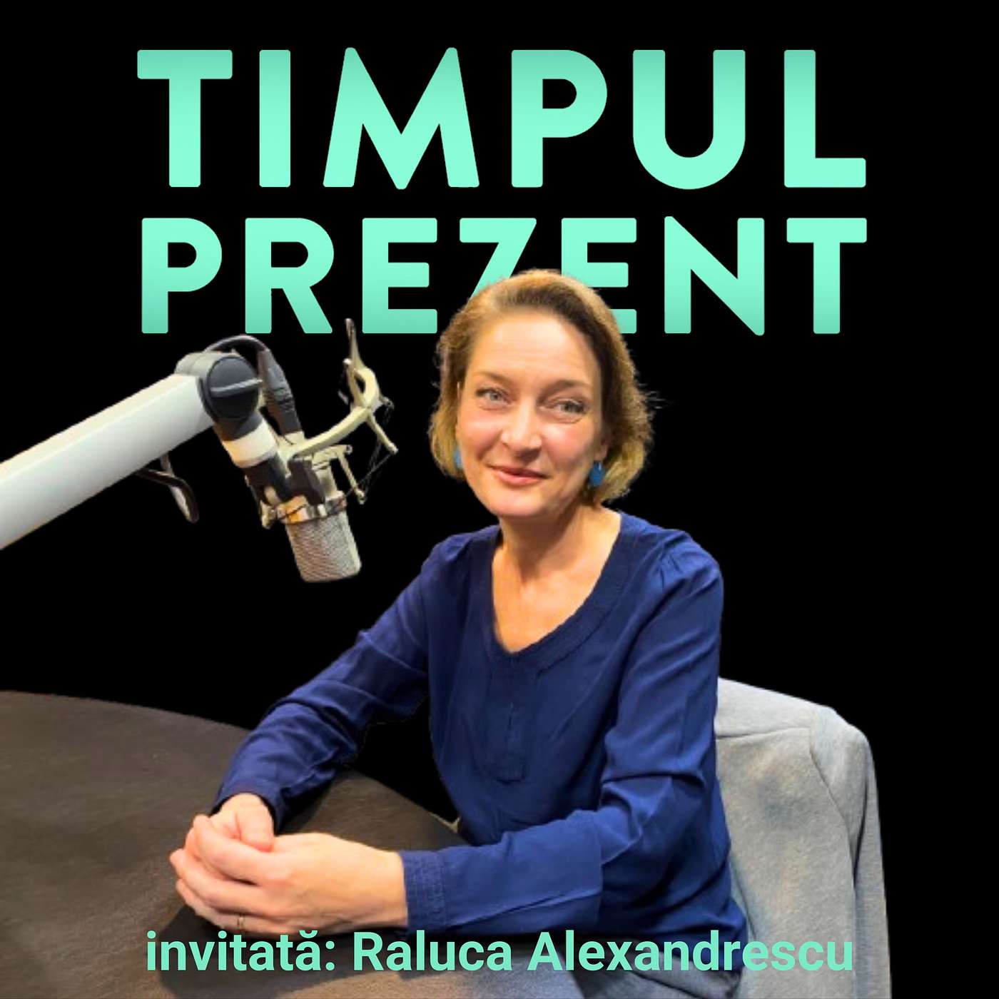 Cît de realist e planul de victorie al lui Volodimir Zelenski în actualul context internațional? episode artwork