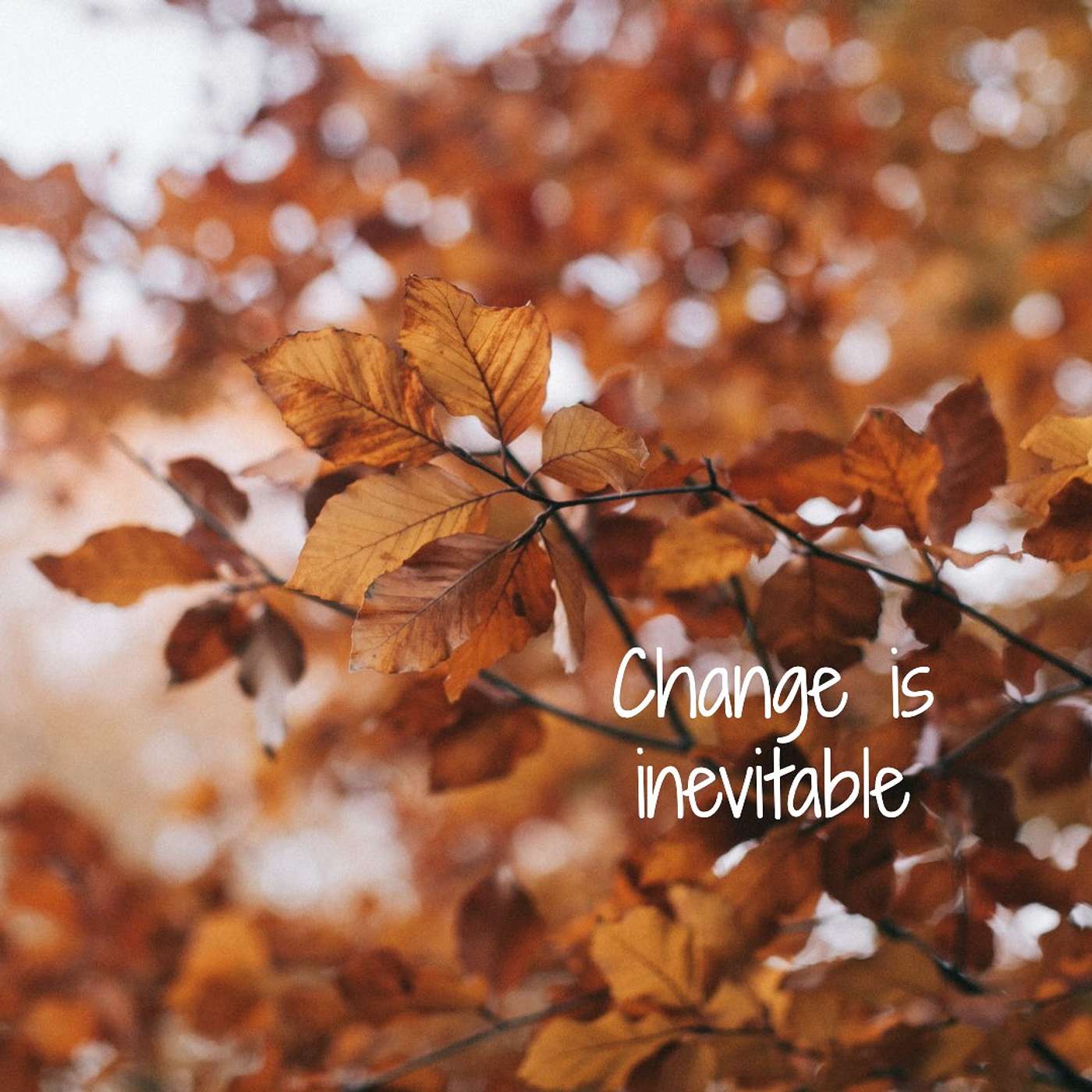#89 Change is inevitable episode artwork