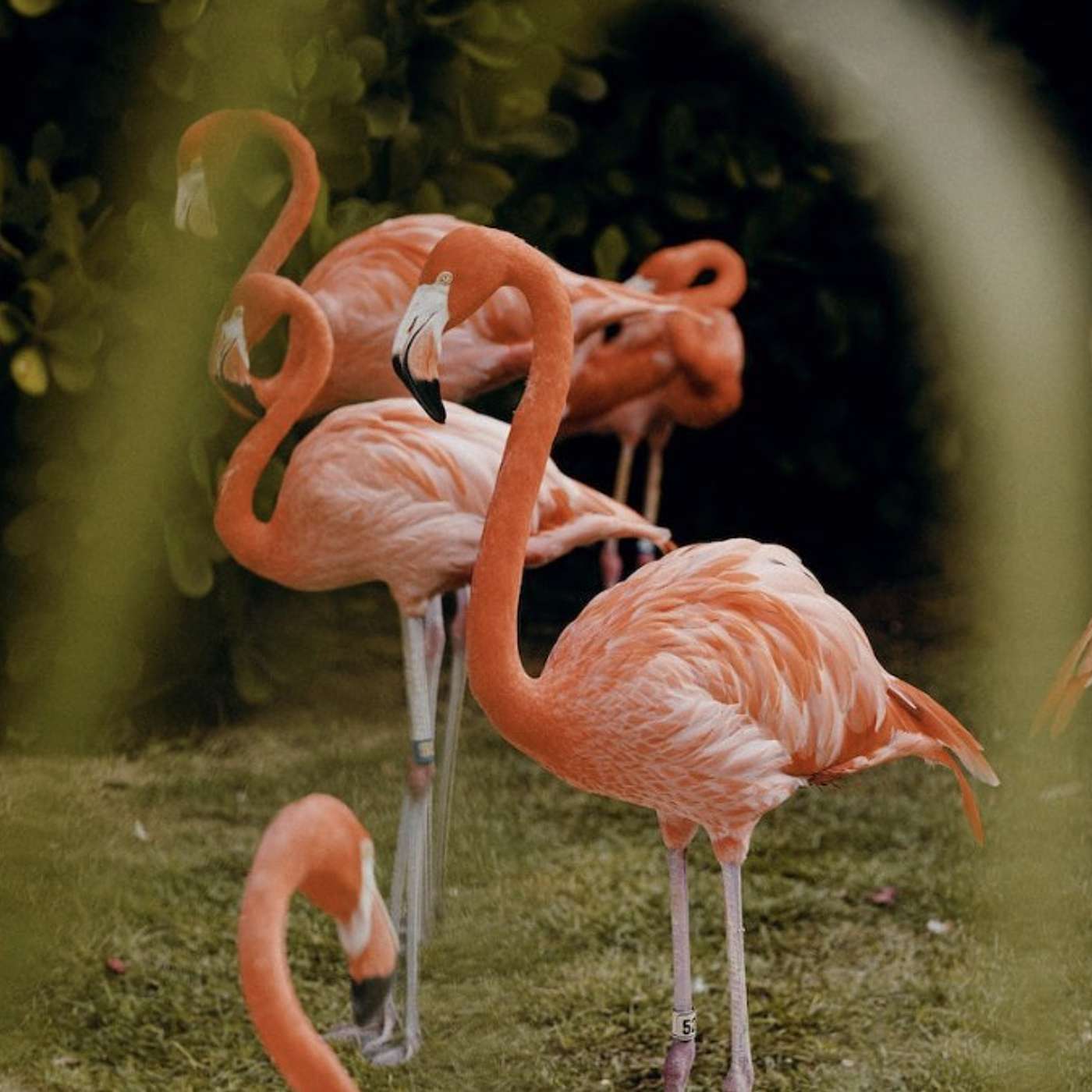 Unveiling the secrets: 5 things you never knew about the Bahamas