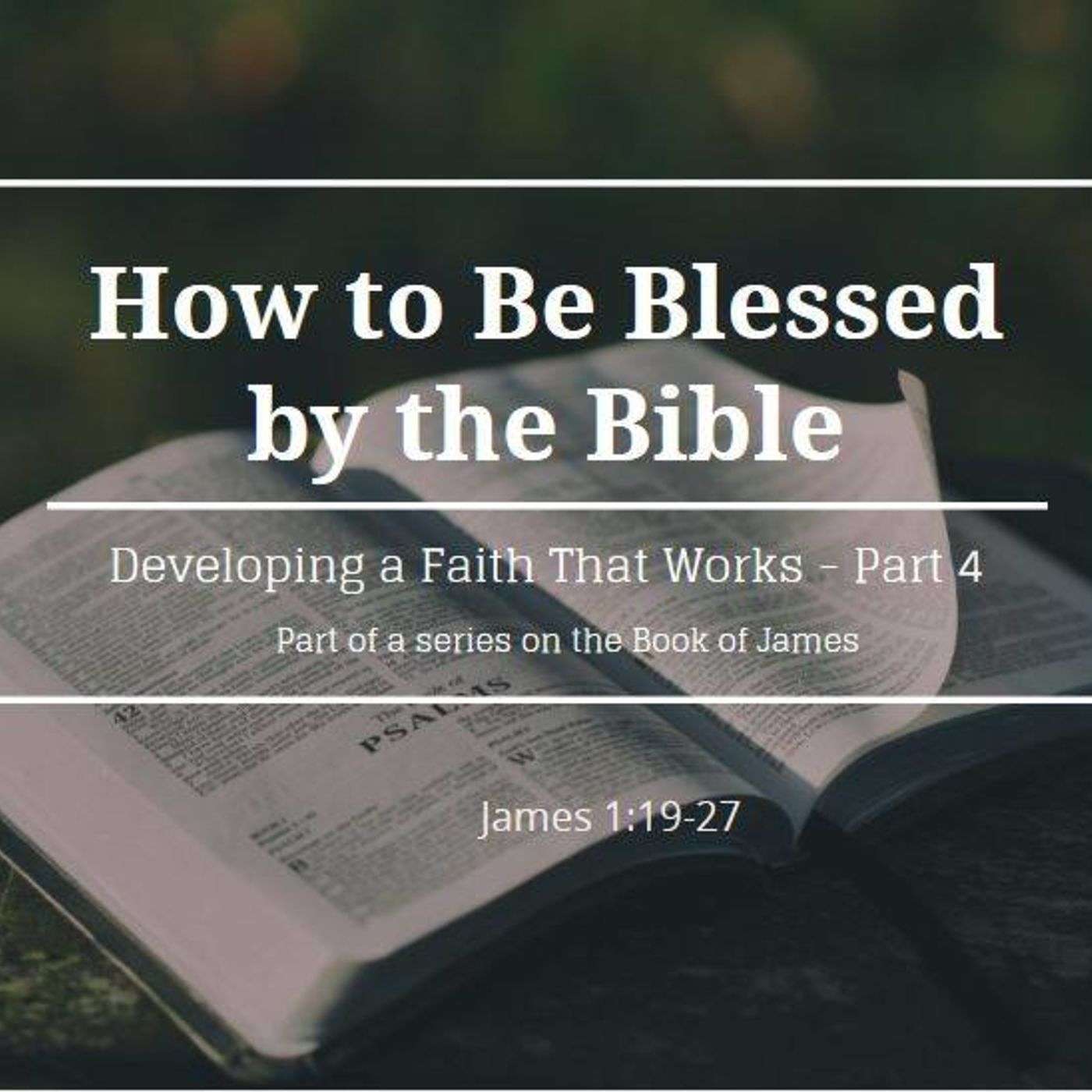 How to Be Blessed By the Bible