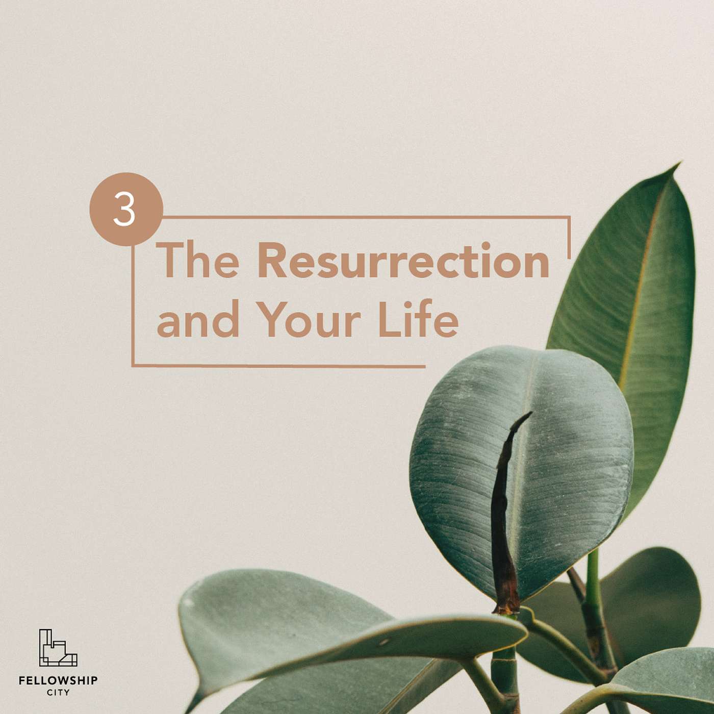 TRYL: Groaning and Liberation episode artwork