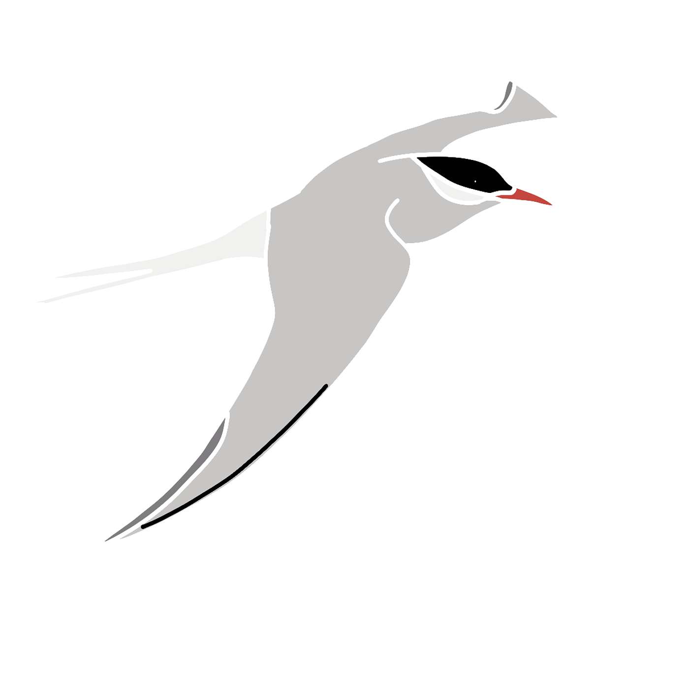 The Arctic Tern episode artwork