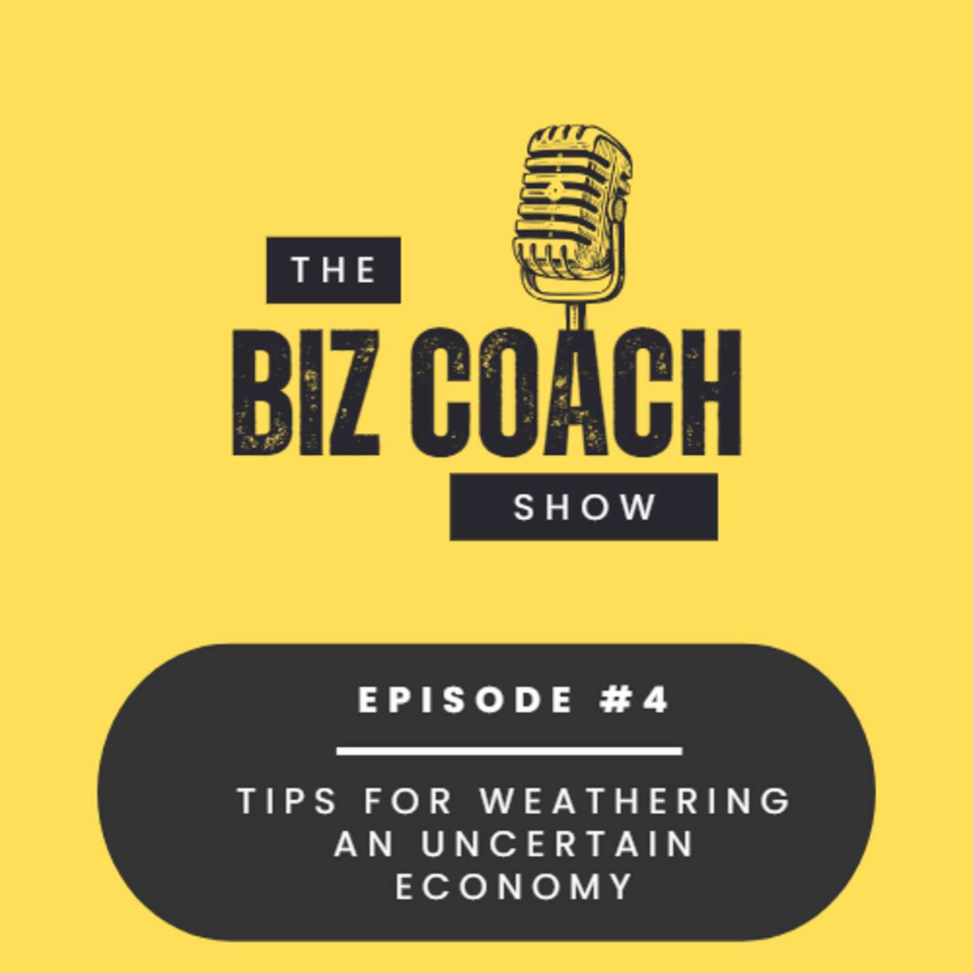 Episode 4 | Weathering an Uncertain Economy
