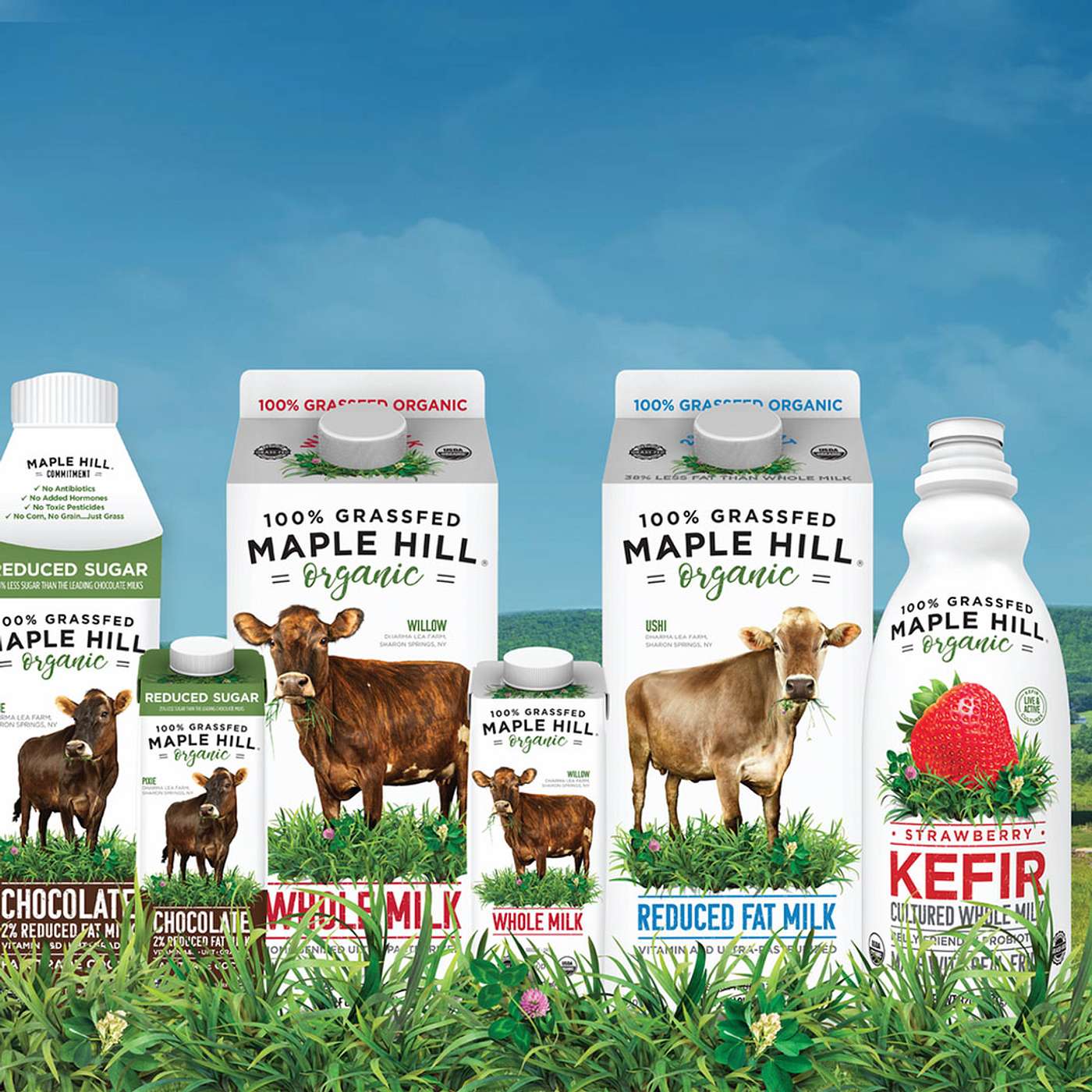 Maple Hill Creamery: Setting the Standard for Premium, Organic, Grass-Fed Dairy episode artwork