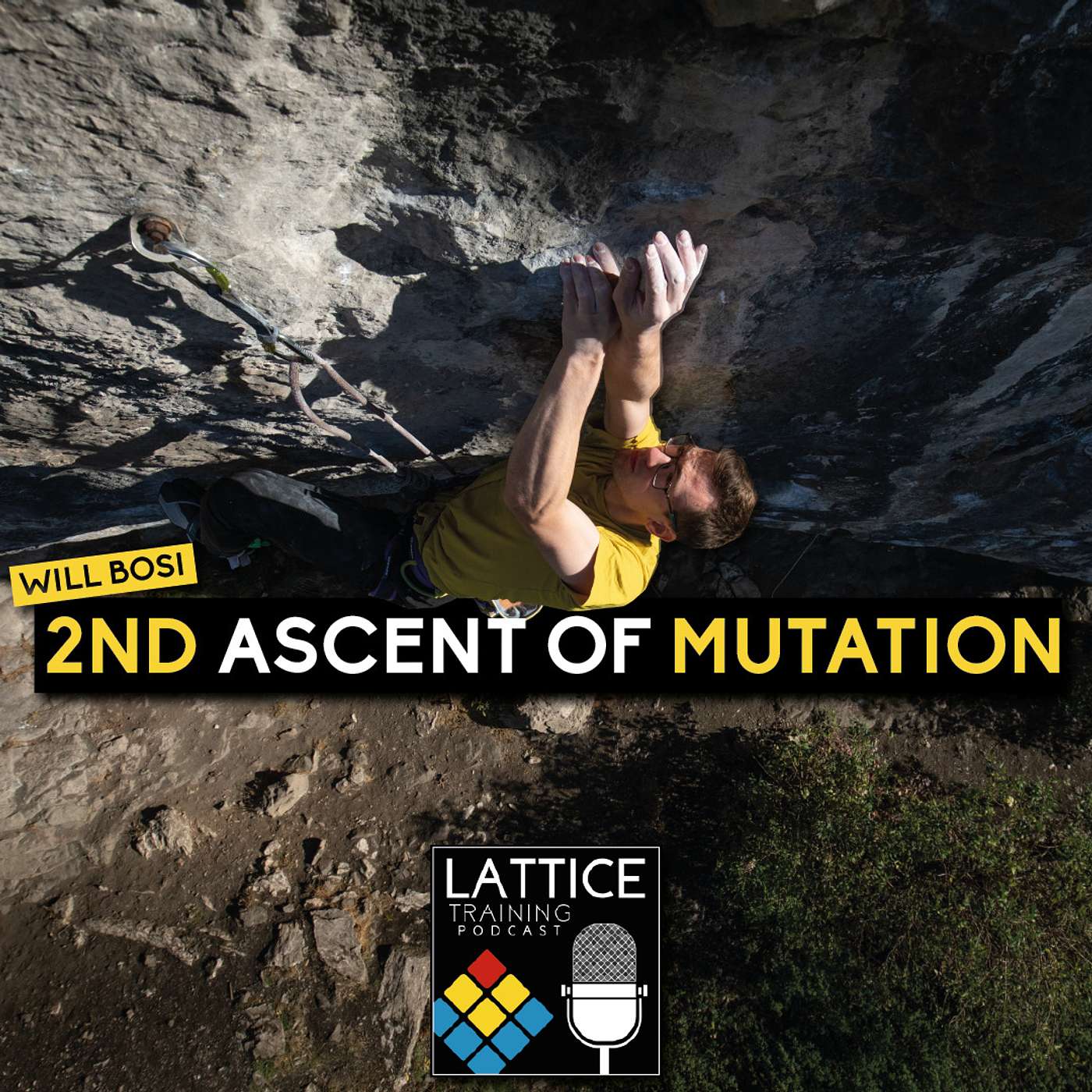 2nd Ascent of Mutation - Interview with Will Bosi