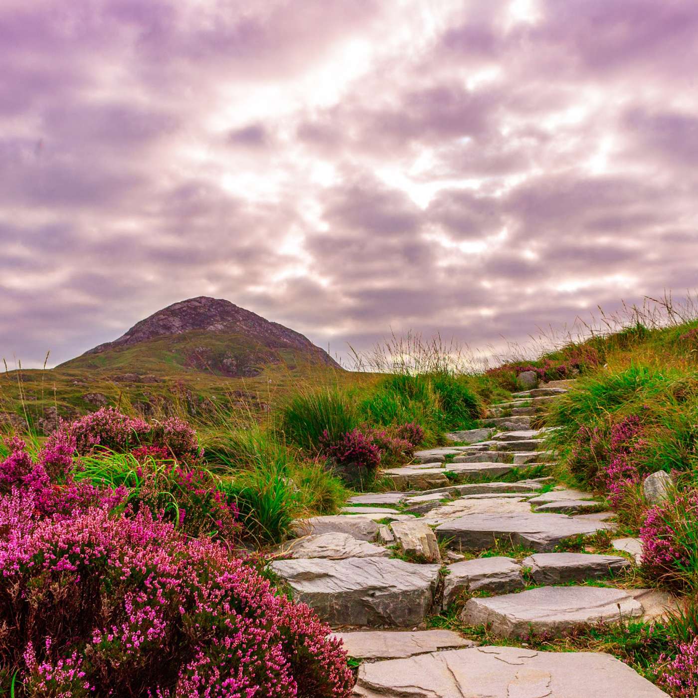 Five Minutes of Self-Discovery and Emotional Healing through Mindful Breathing